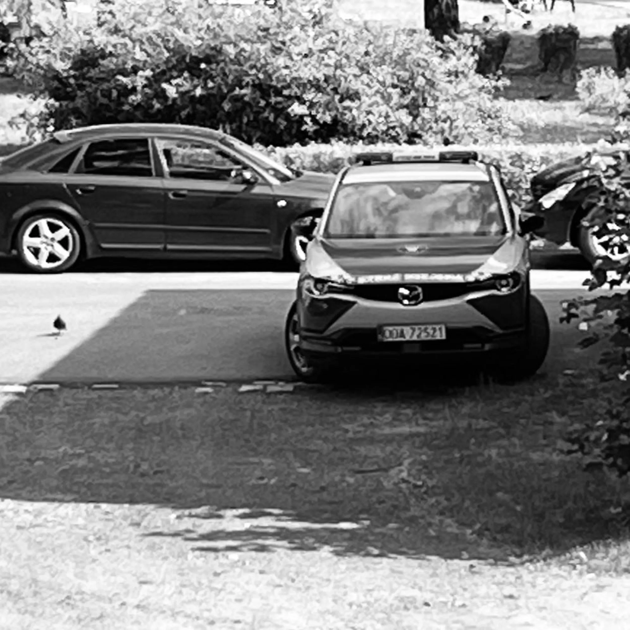 Brawo Straż Miejska!!! ?  Mieszkańcy są wdzięczni za blokowanie wyjazdu i ograniczenia widoczności, mimo że połowa parkingu jest pusta. Jaki więc przykład dają innym? Może ja zaparkuję gdzieś na wrocławskim rynku pod pomnikiem.