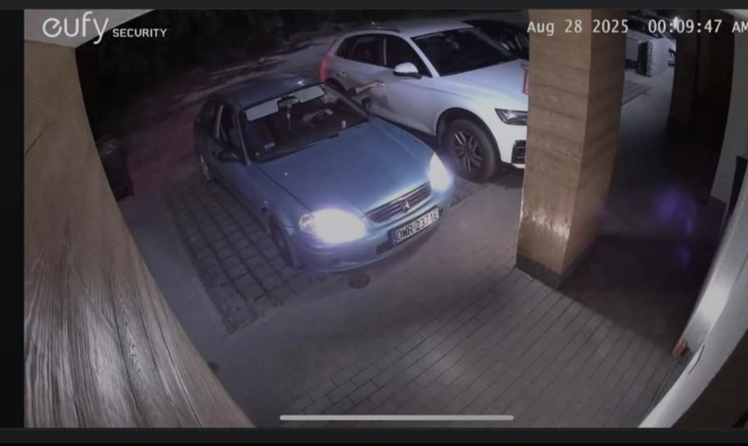 Potwierdzam, widziany na osiedlach