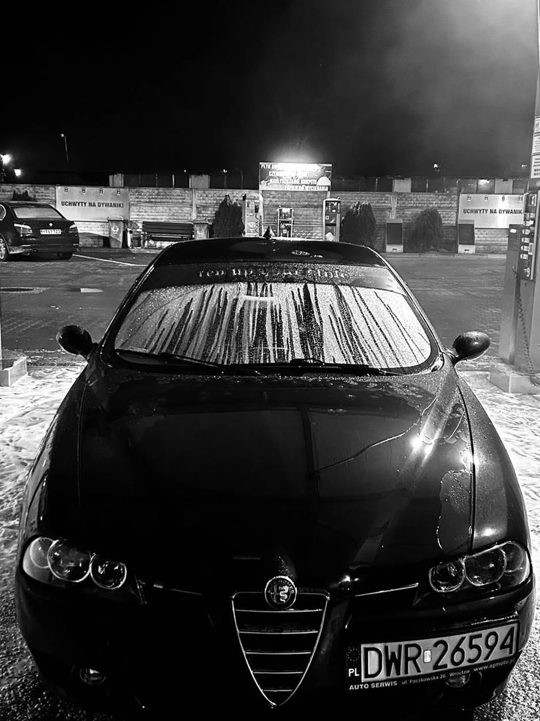 Najlepsza alfa we wrocławiu