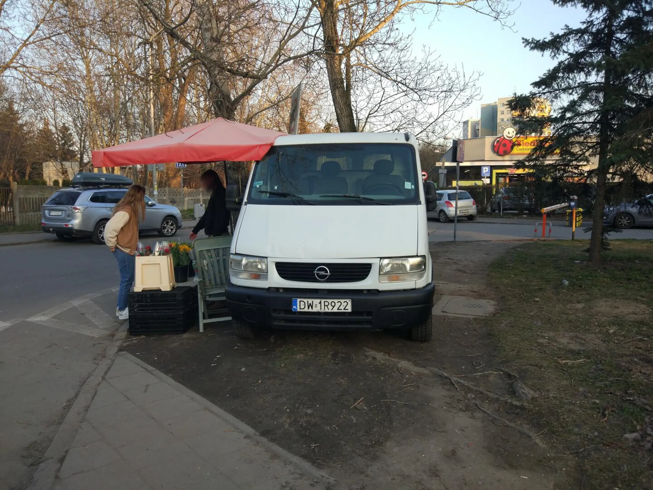 Parkowanie na trawnikach, niszczenie zieleni