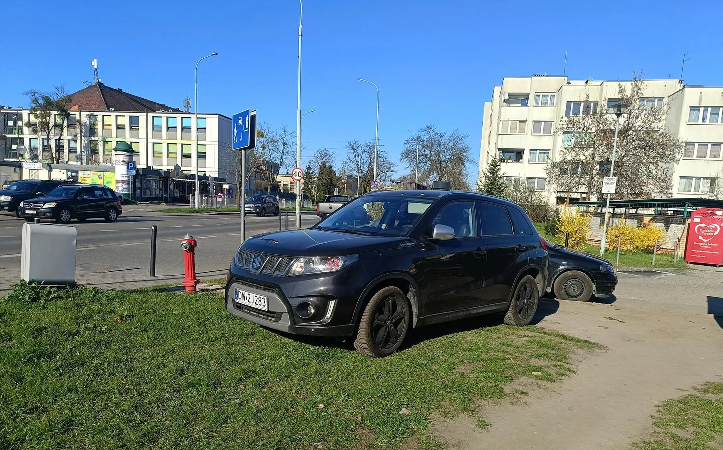 Pani parkuje na Trawniku jak święta krowa