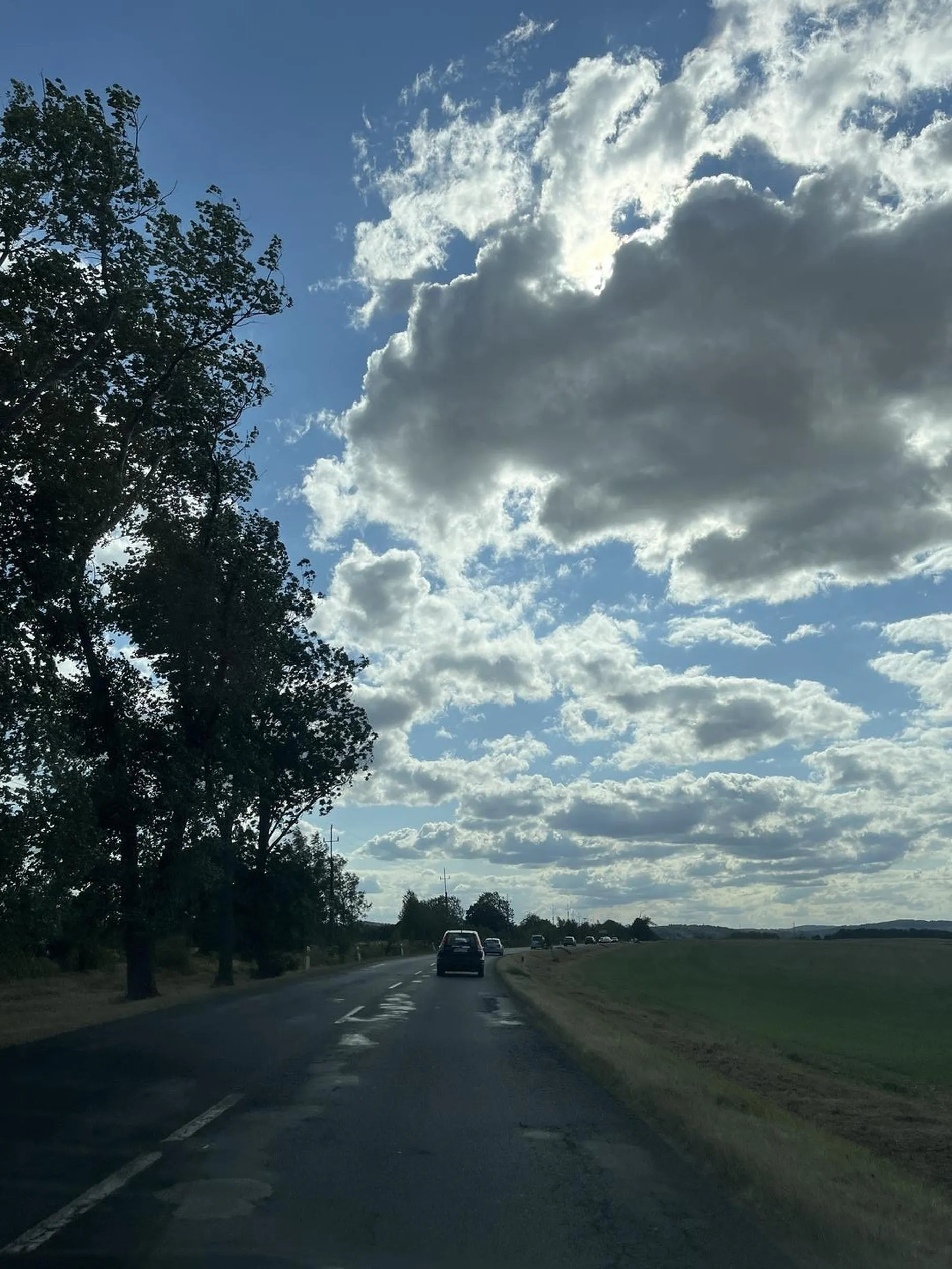 Kierowca hondy jeździ jakby był pijany