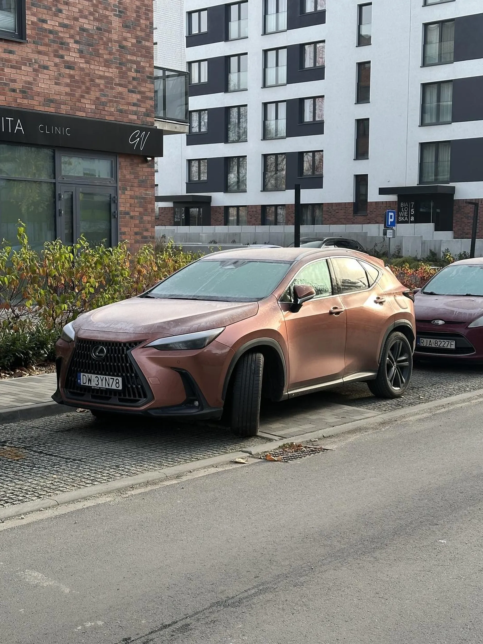 Notorycznie zastawia chodnik