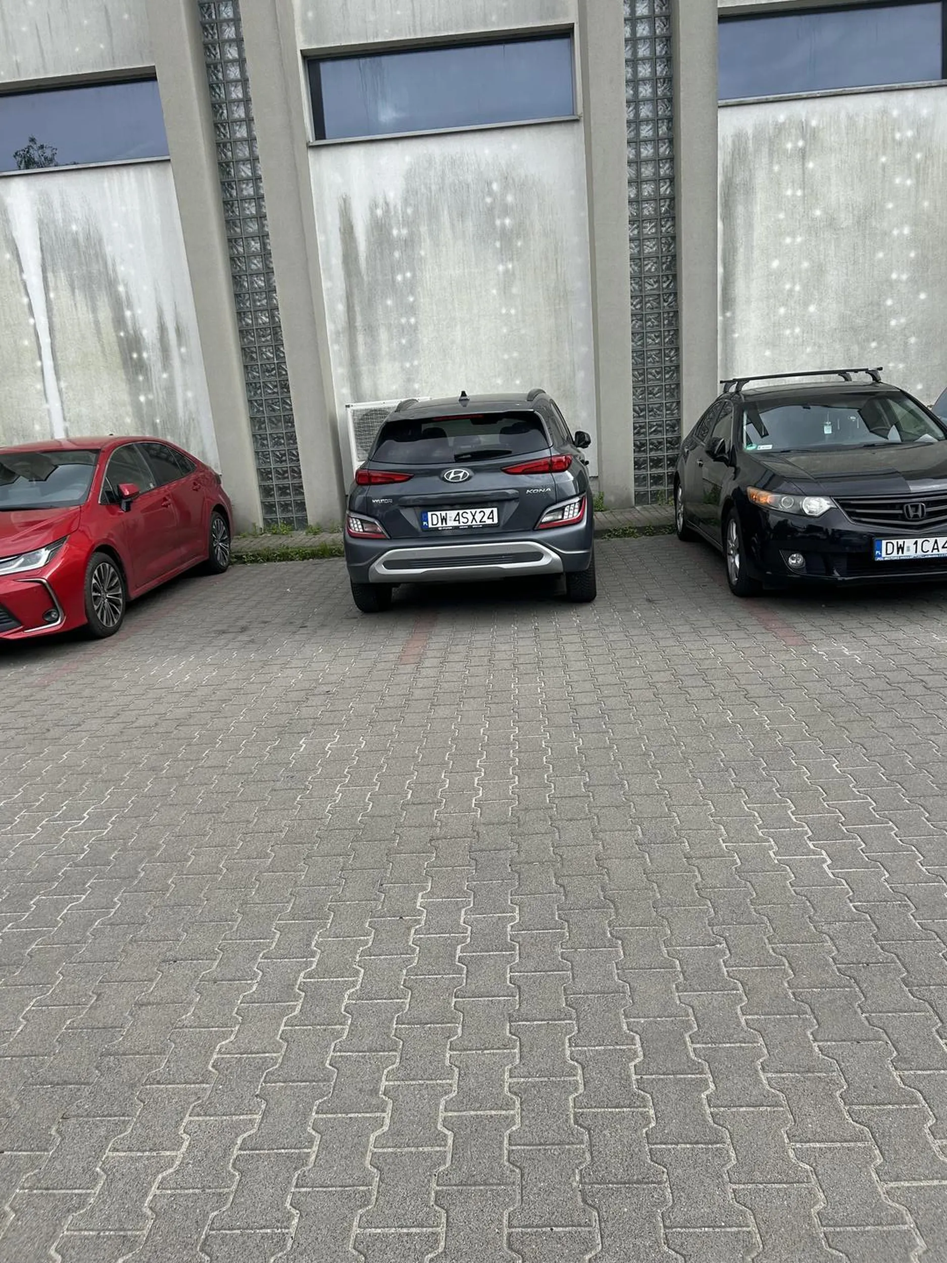 Mistrz parkowania …