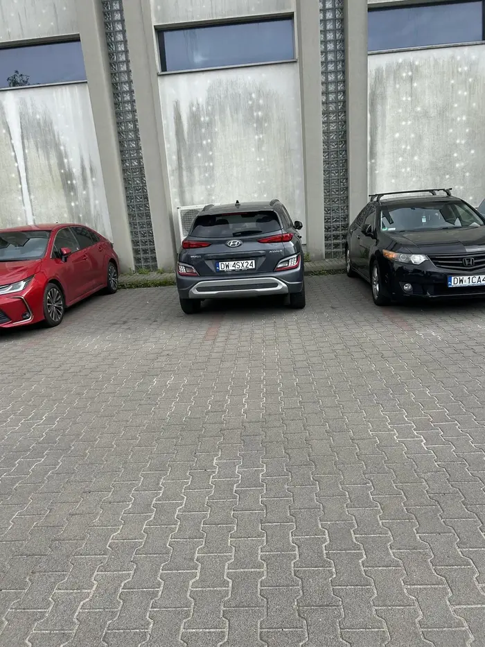 Mistrz parkowania …