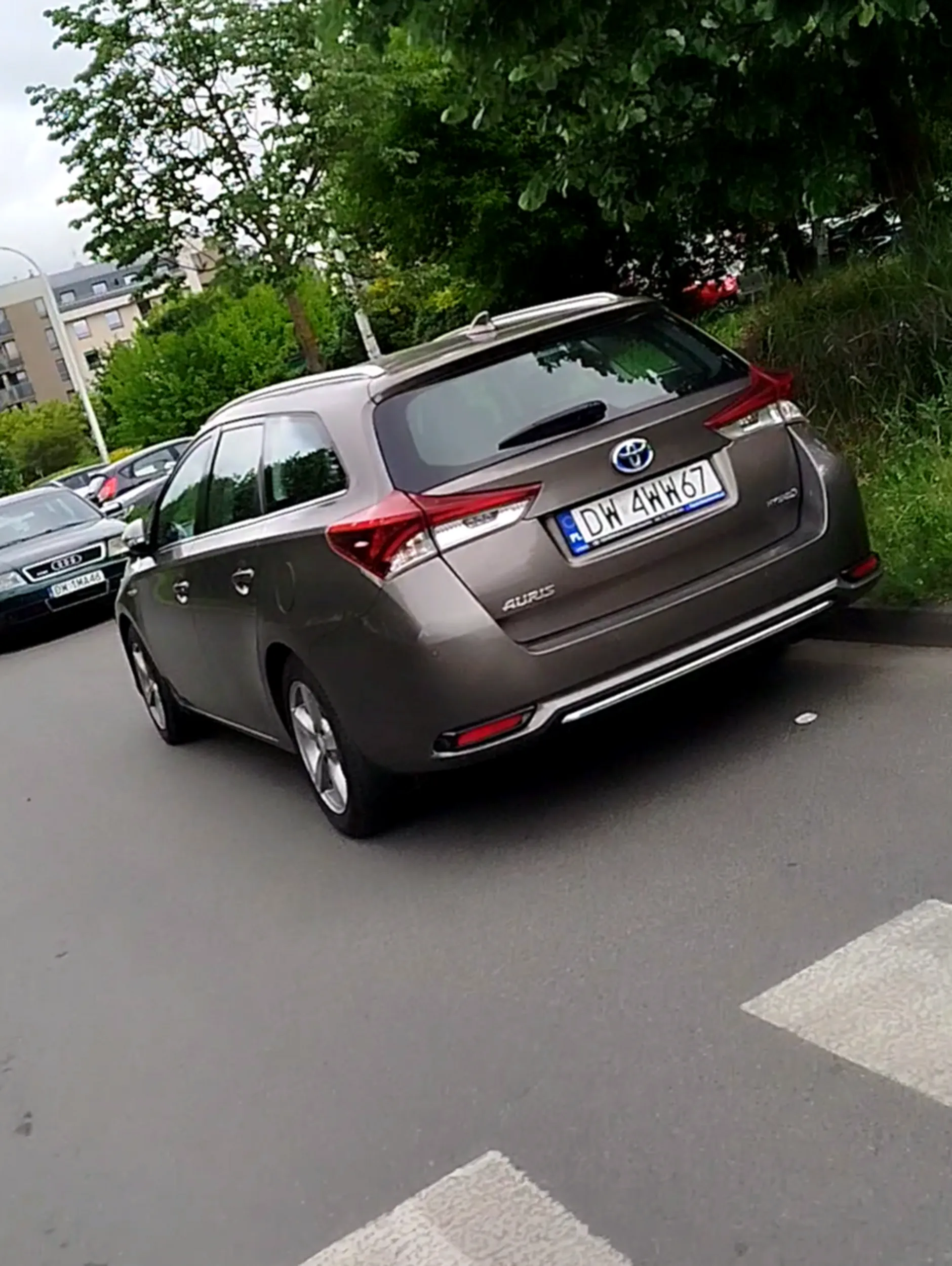 Złotówa, a nie zna przepisów.