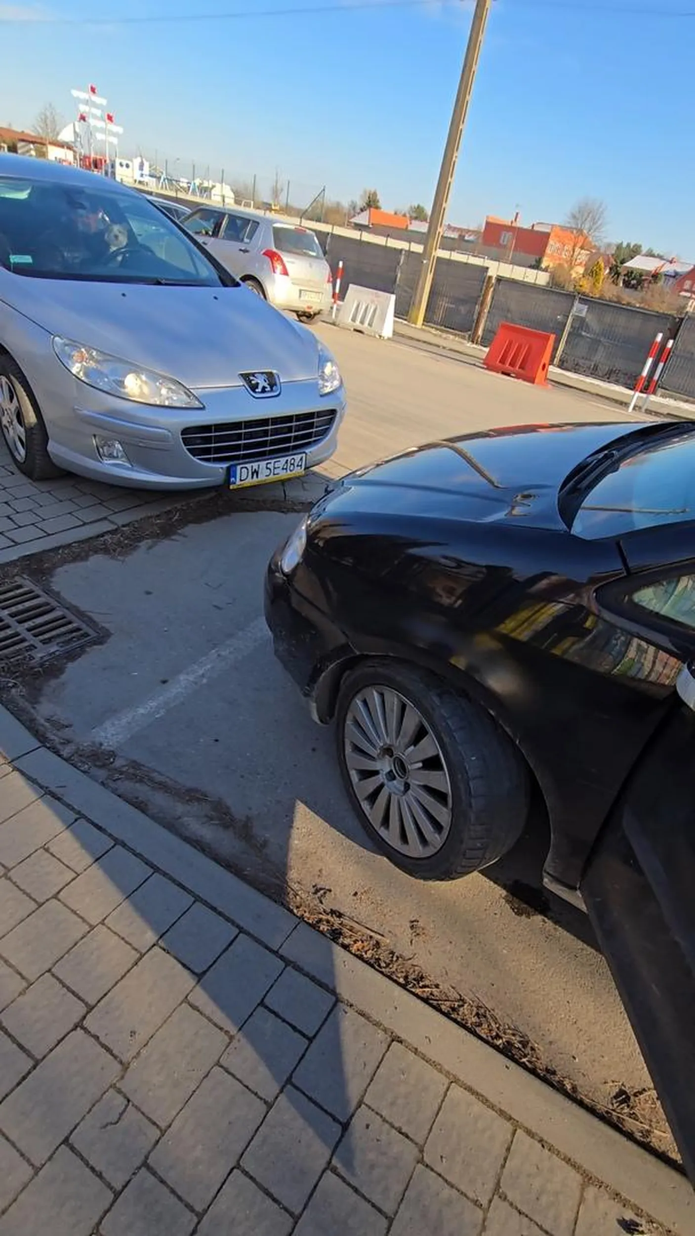 Gościu prowadzi samochód z psem na kierownicy. Parkuje w miejscu, w którym parkować nie należy i blokuje możliwość wyjazdu pojazdom zaparkowanym prawidłowo.