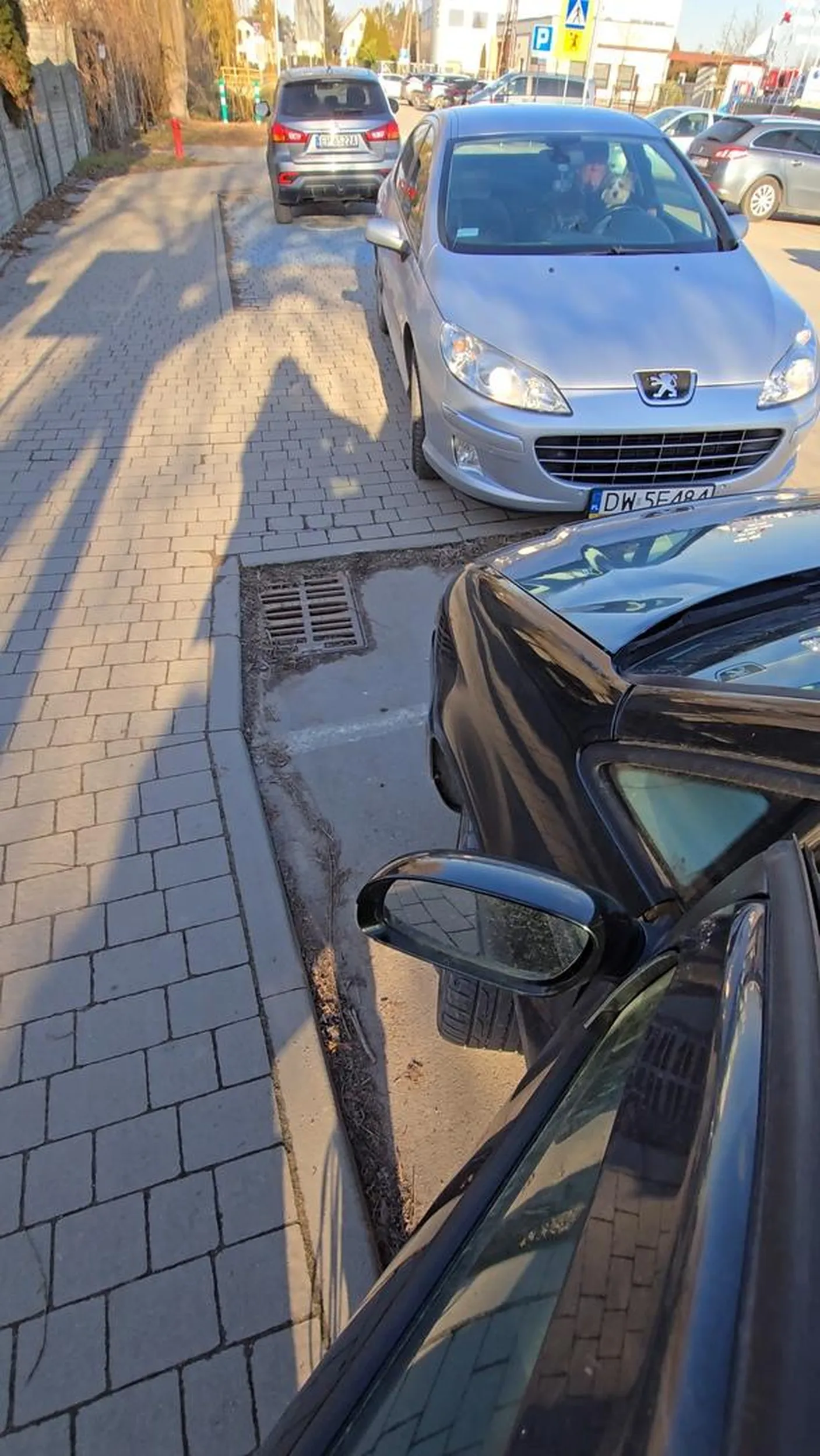 Gościu prowadzi samochód z psem na kierownicy. Parkuje w miejscu, w którym parkować nie należy i blokuje możliwość wyjazdu pojazdom zaparkowanym prawidłowo.