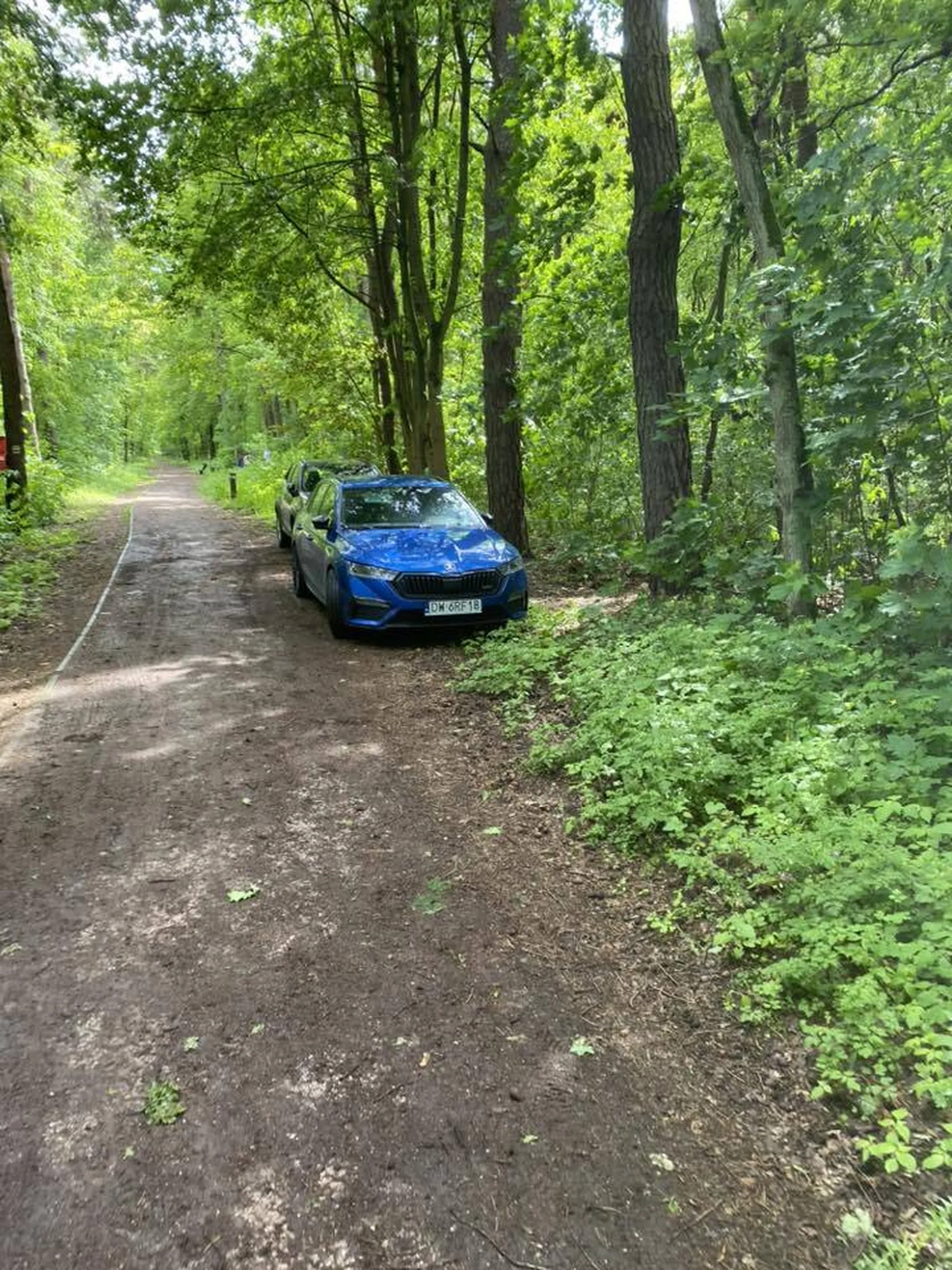 Kutas wjechał pod zakaz do lasu!