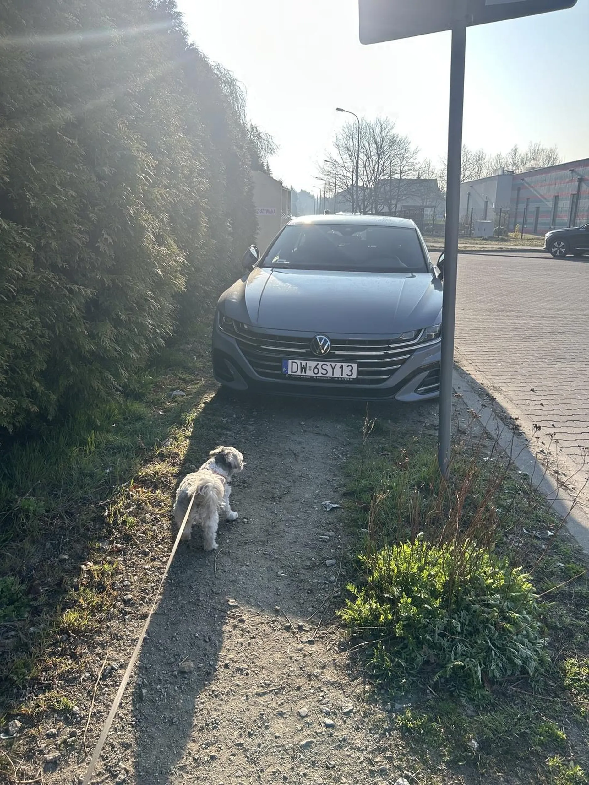 następnym razem sugeruję jeszcze bardziej stanąć na chodniku ;)