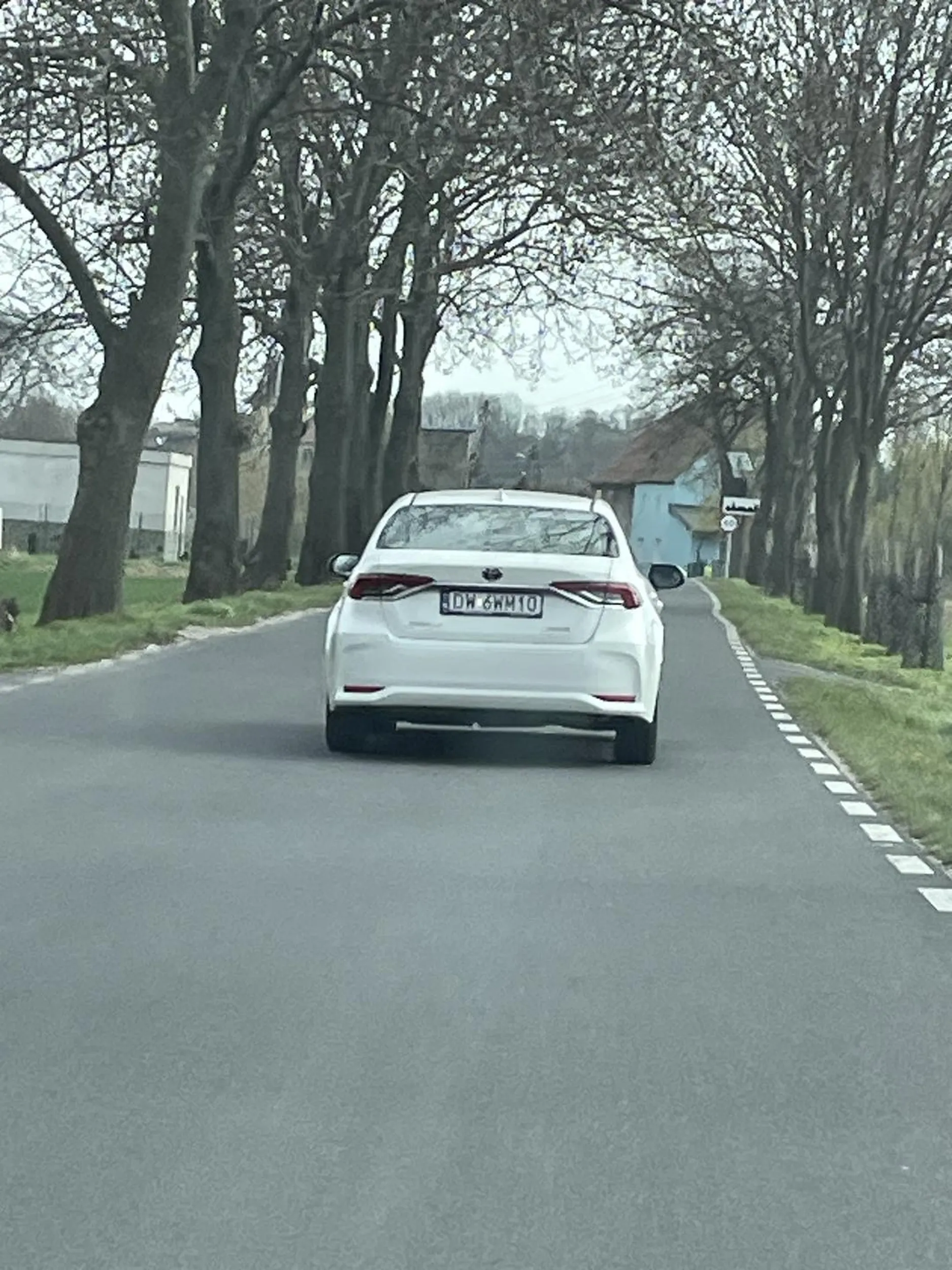 Pajac jeździ środkiem, na zakrętach się zatrzymuje na poboczu żeby przepuścić osobówkę z naprzeciwka.