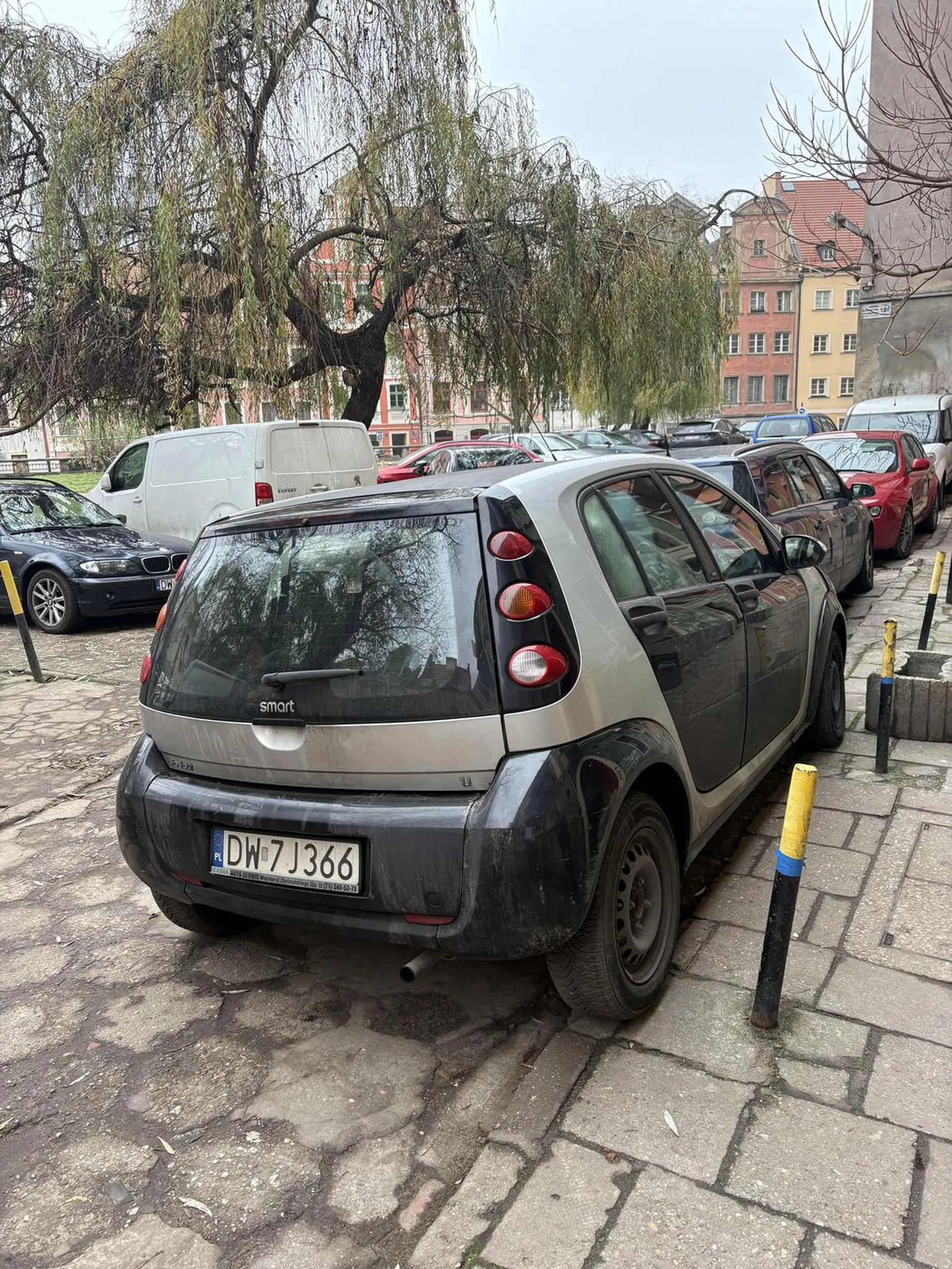 Kierowca chyba nie wie że na przejściu dla pieszych się nie staje