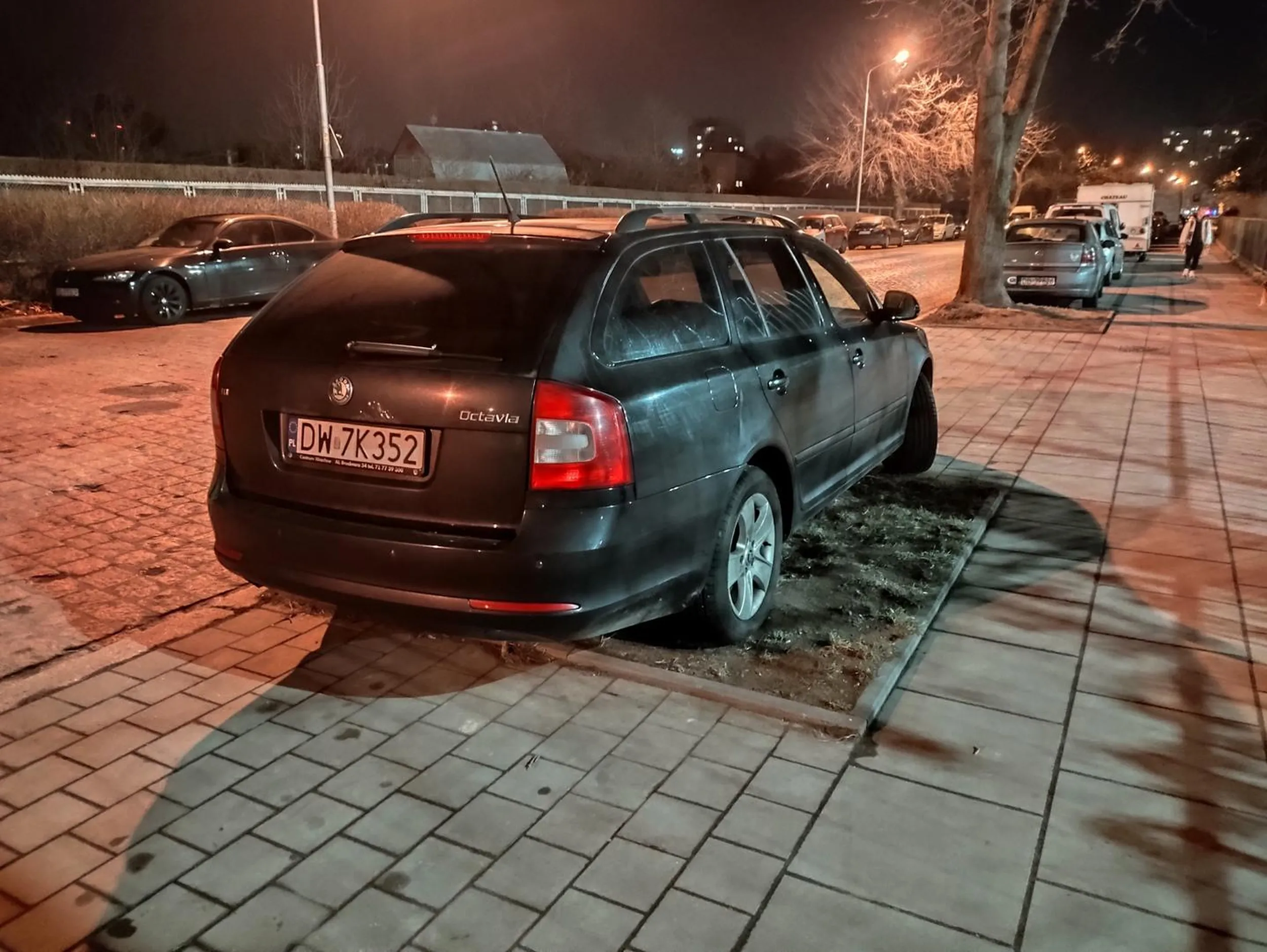 Po prostu musiał zaparkować na skromnym trawniku.