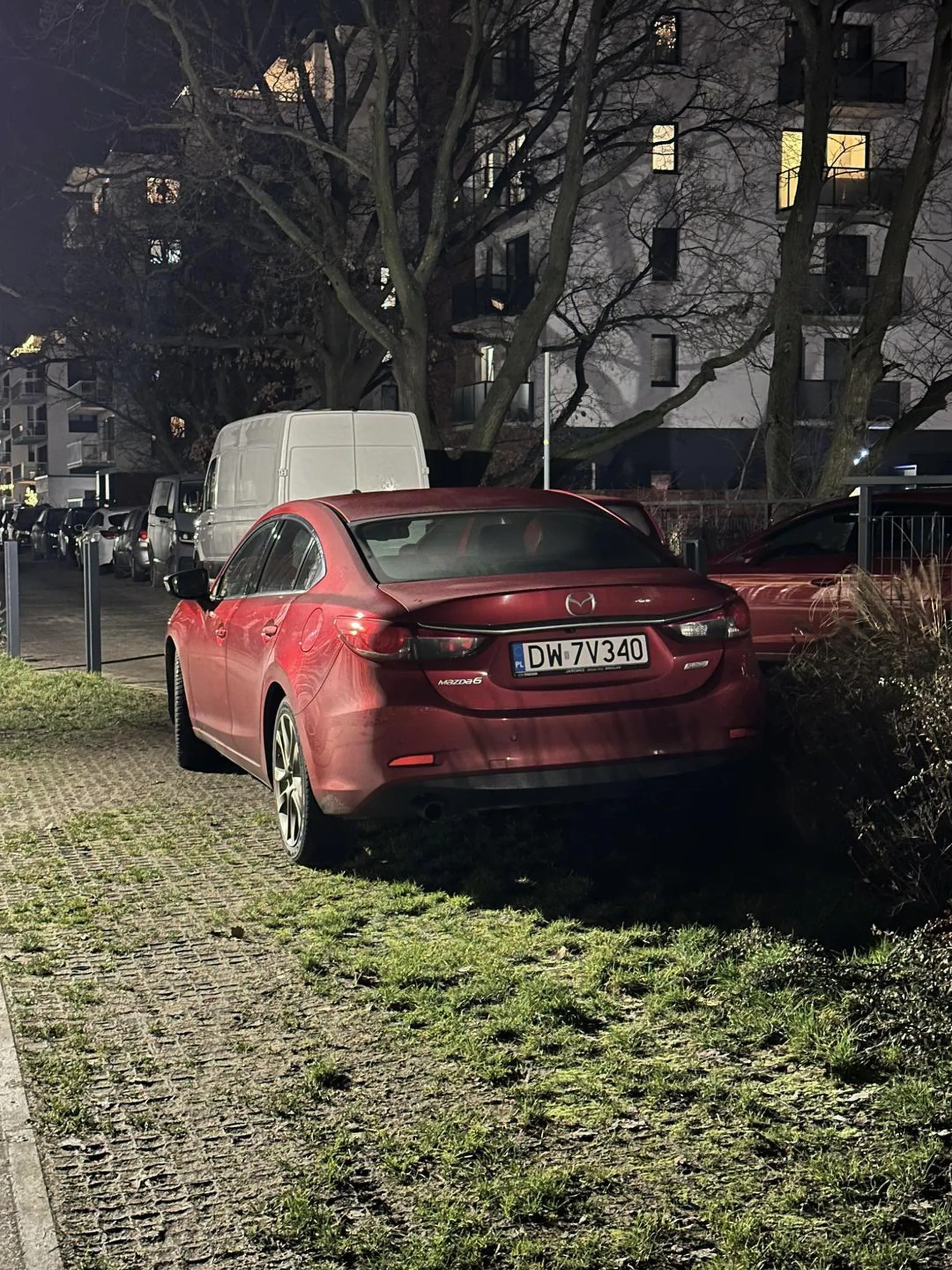 Burak jeździ po trawniku