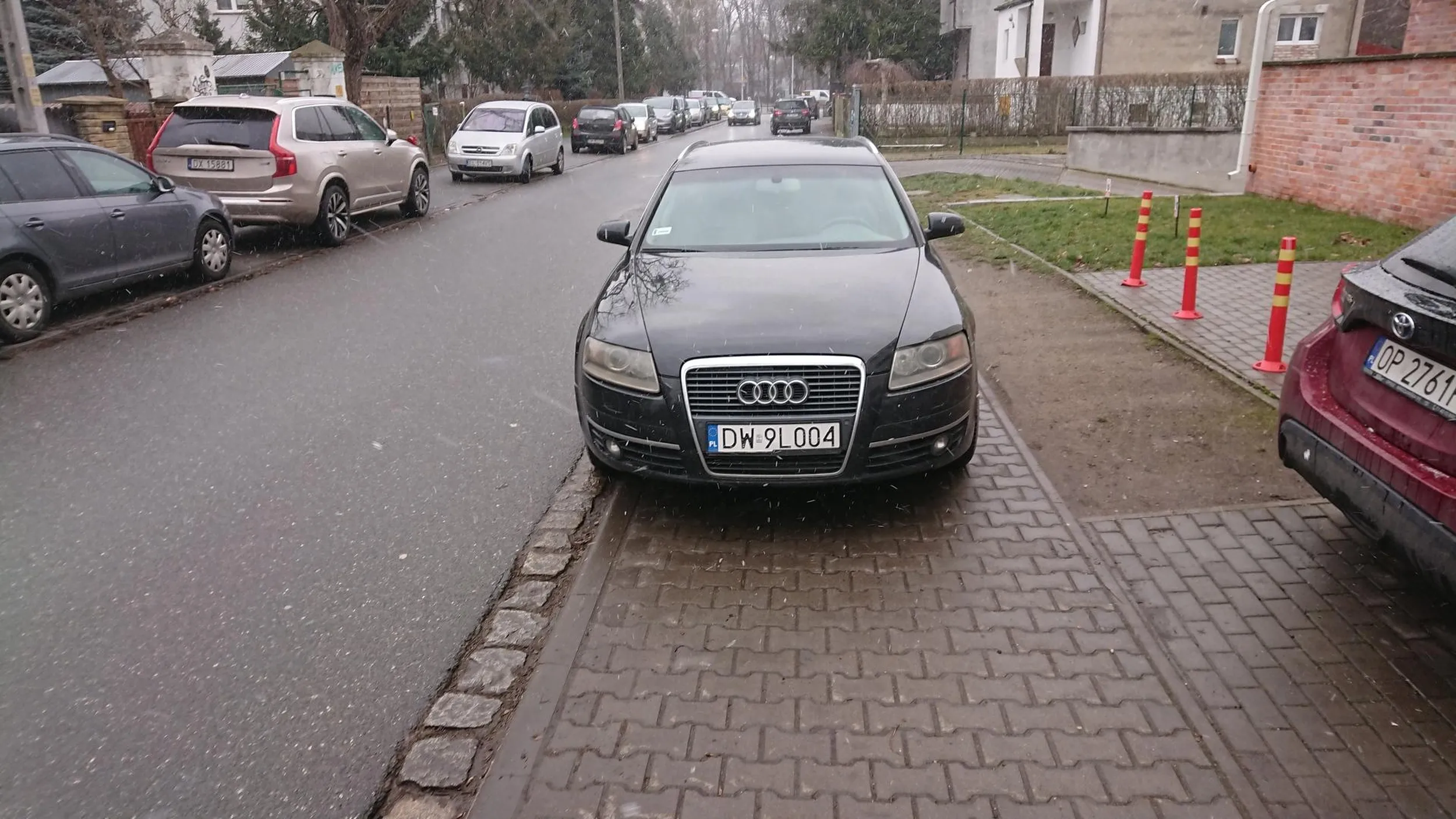 Baran zastawił cały chodnik