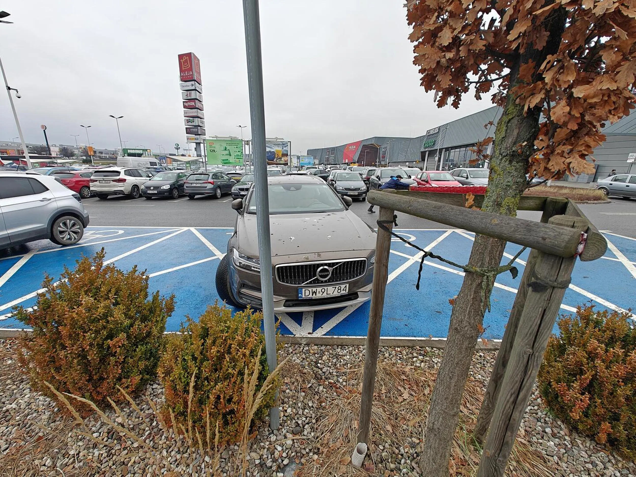 Podwójny inwalida umysłowy