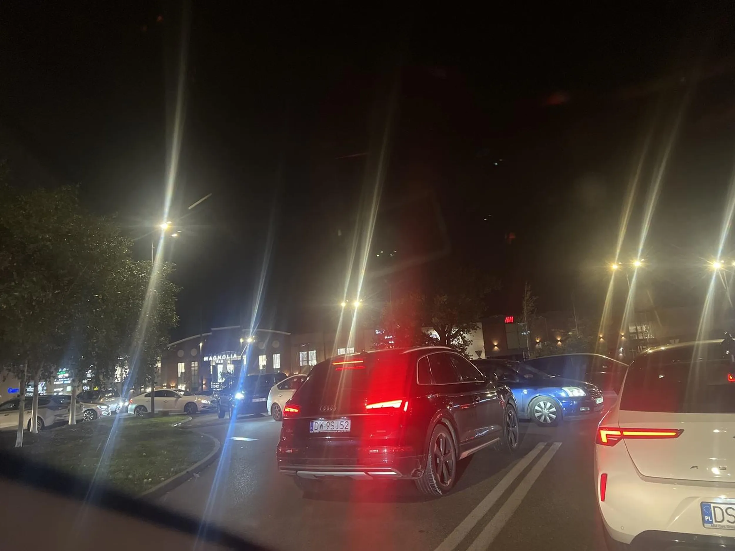 Takiemu to prawo jazdy powinni zabrać