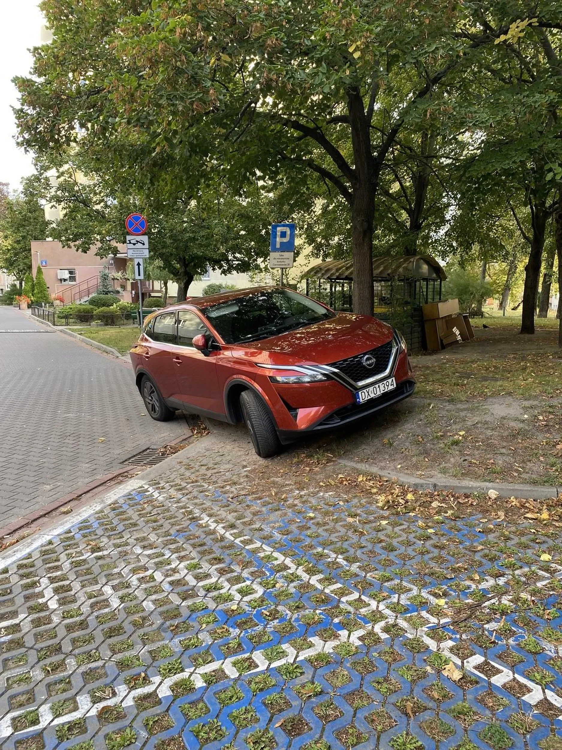 Trawnik?! Jaki trawnik?