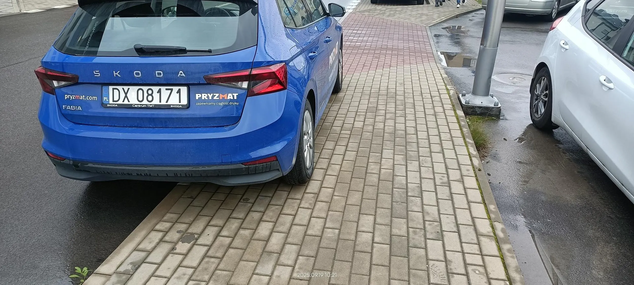 Święta krowa chodnikowa.