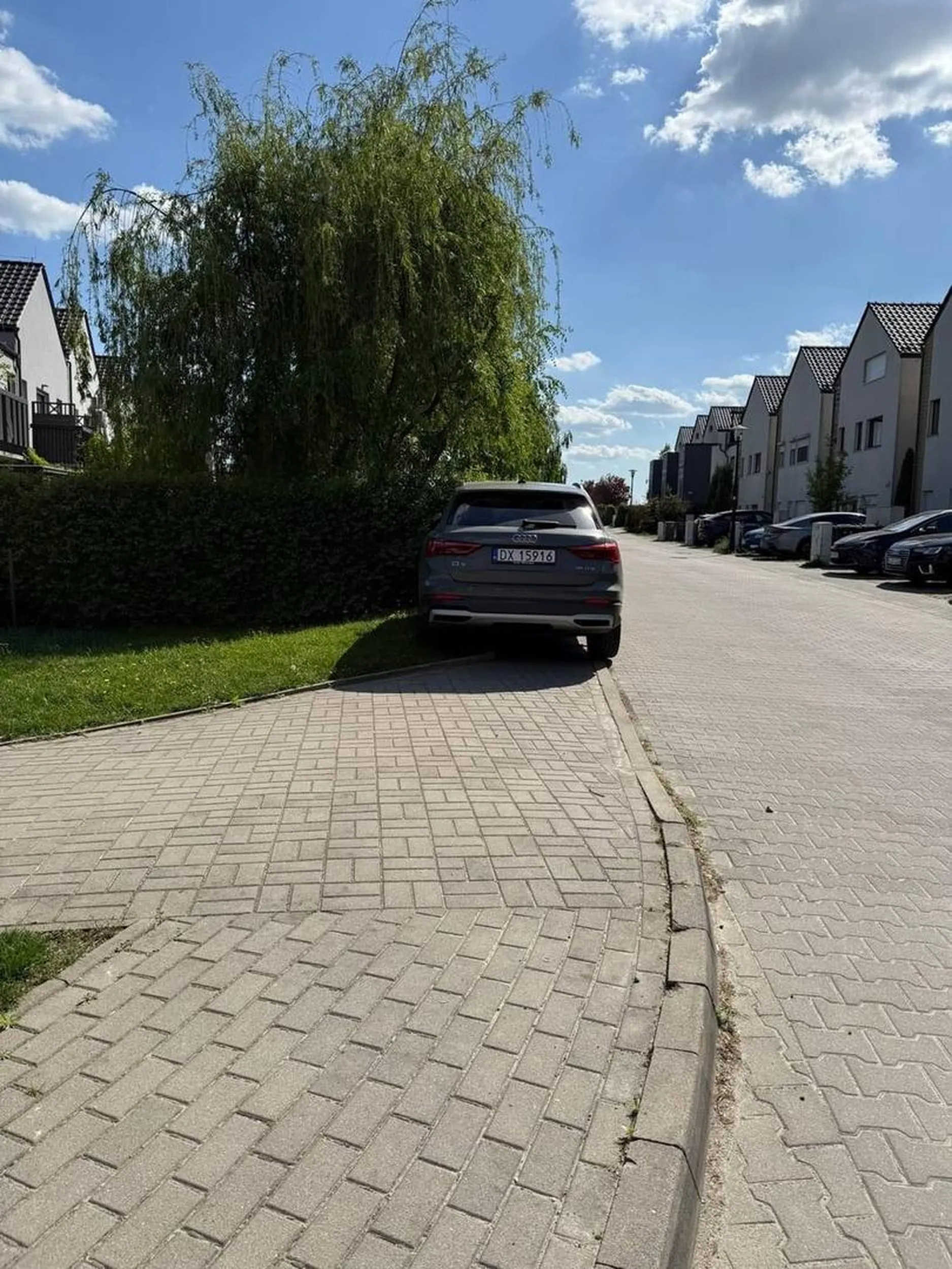 Jest 1. mają, parkingi obok bez żywej duszy, ale bycie bucem wpisane w DNA.