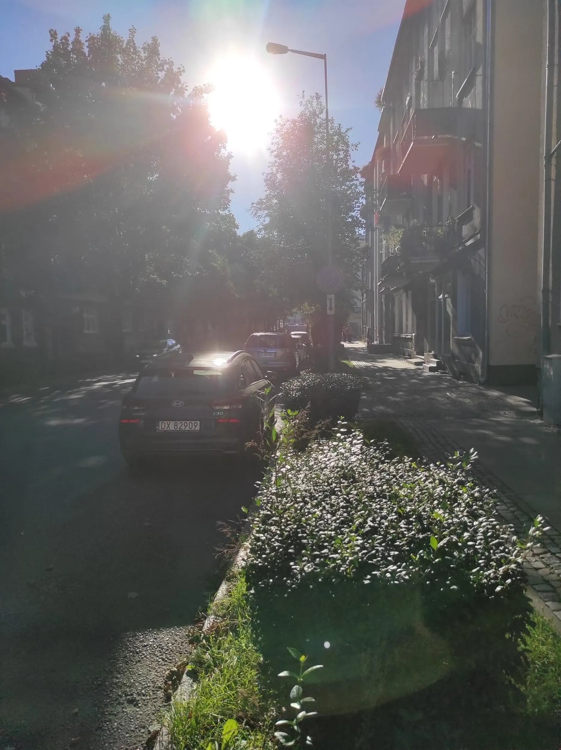 Utrudnia wyjazd - zostawił częściowo bramę, parkuje na zakazie. Gorzów Wielkopolski, ul. Mickiewicza. Podstawa prawna: par.28 ust.2 ustawy o znakach drogowych - złamany zakaz zatrzymywania się i postoju (znak b-36 widoczny na zdjęciu). art.49 ust.2 pkt.1 ustawy prawo o ruchu drogowym - postój utrudnia wyjazd z bramy, zasłania wyjeżdzającym drogę ul. Mickiewicza.