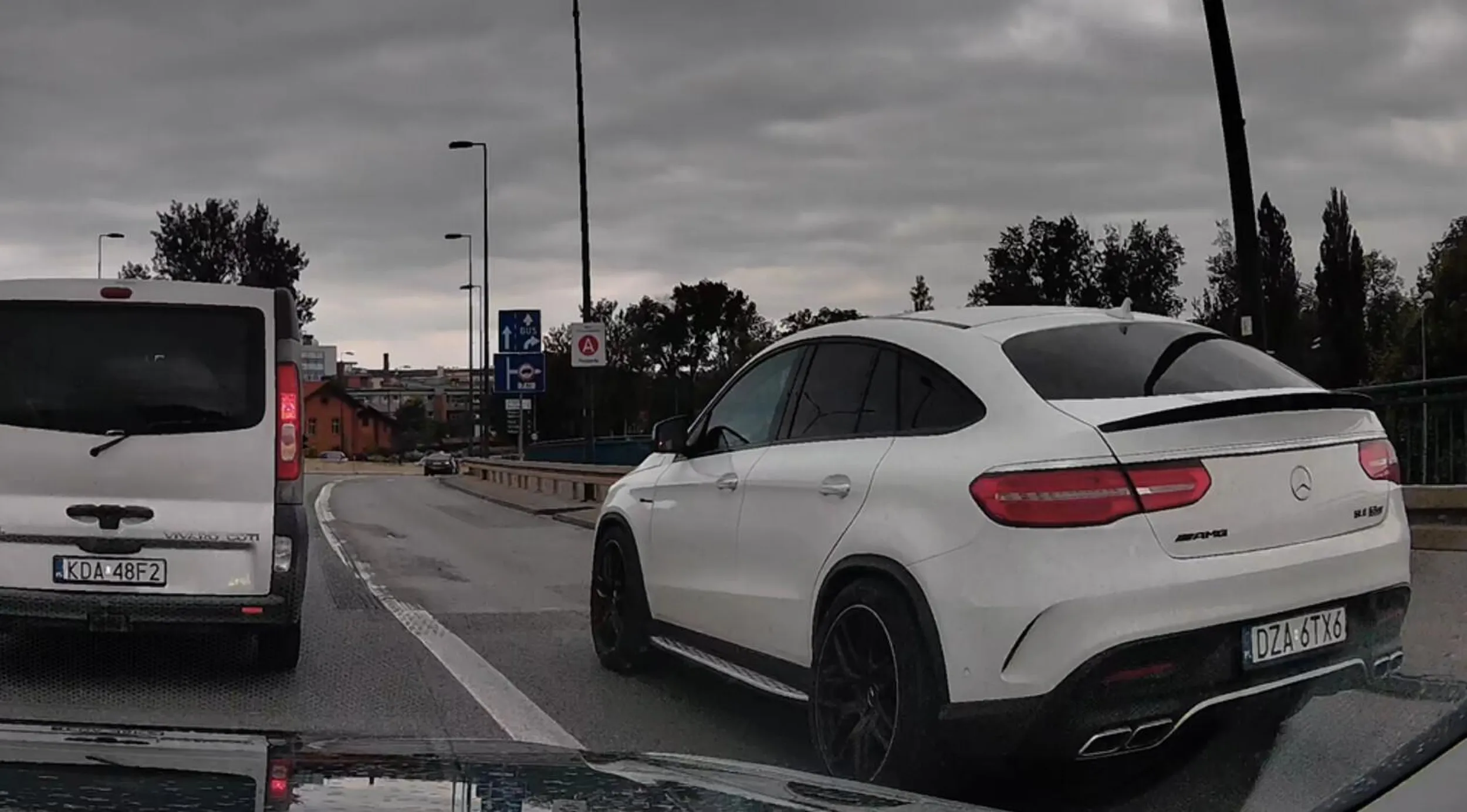 gamoń jeździ buspasem