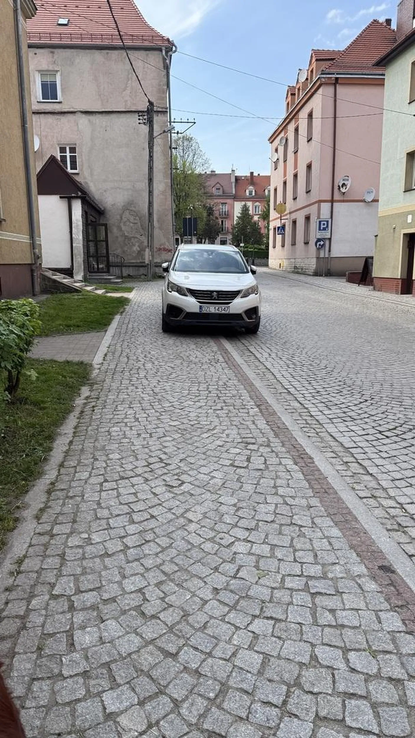 Kolejny zlotorysjki szlachcic który staje na zakazie skąpiąc 1zl na parking tym samym kupując lodziki dla całej ferajny