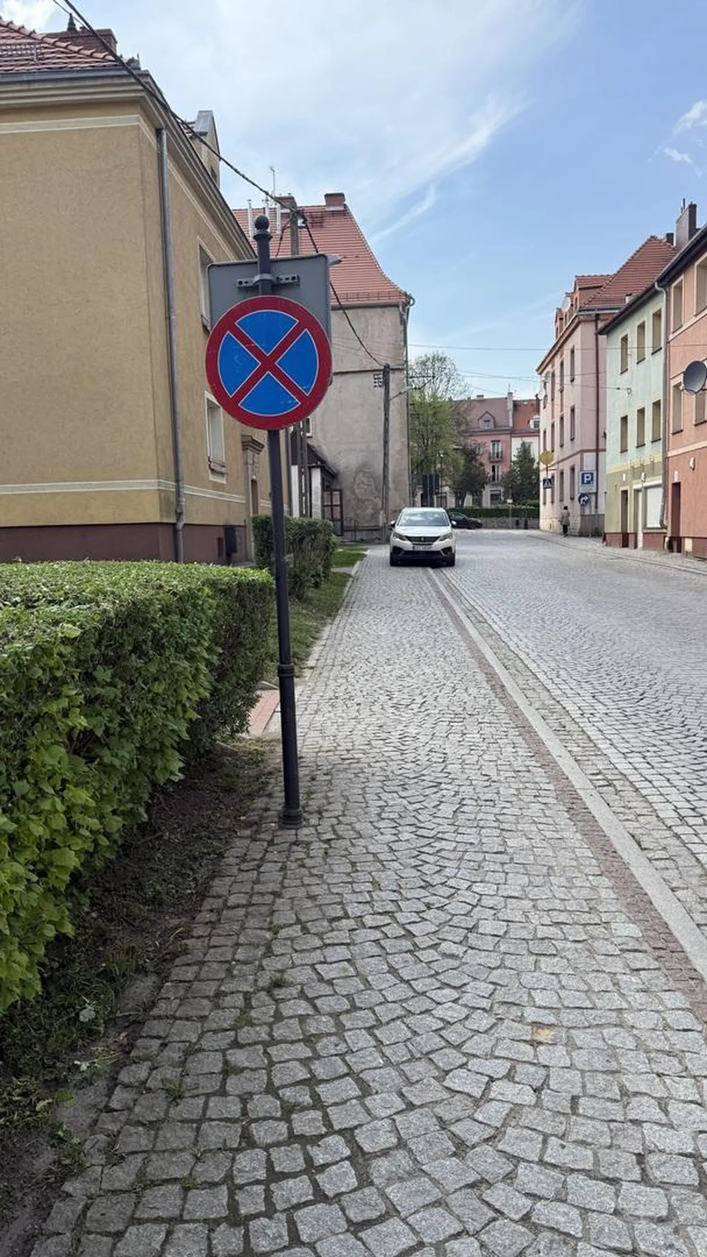 Kolejny zlotorysjki szlachcic który staje na zakazie skąpiąc 1zl na parking tym samym kupując lodziki dla całej ferajny