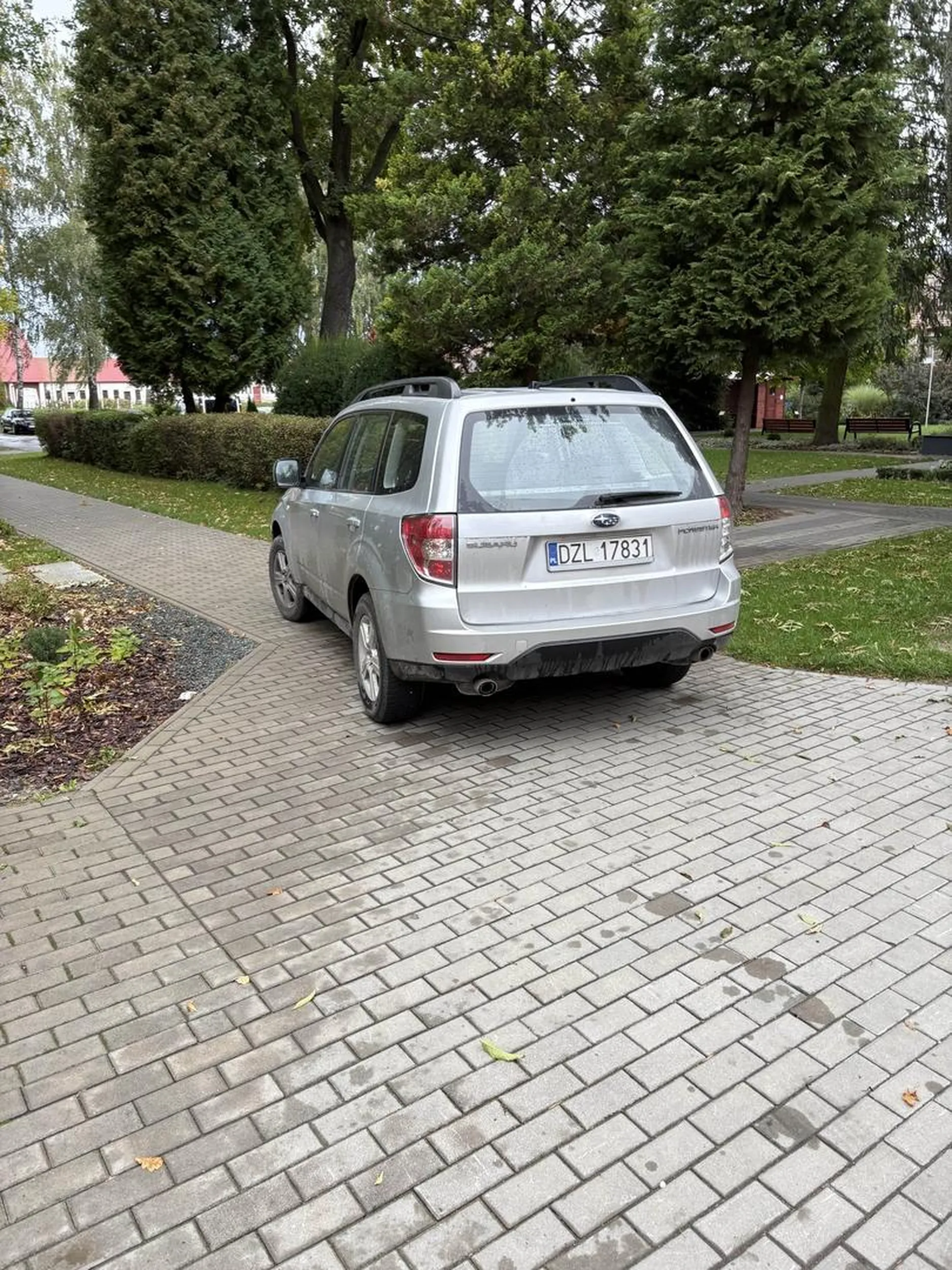 Gupi hój staje na hodniku