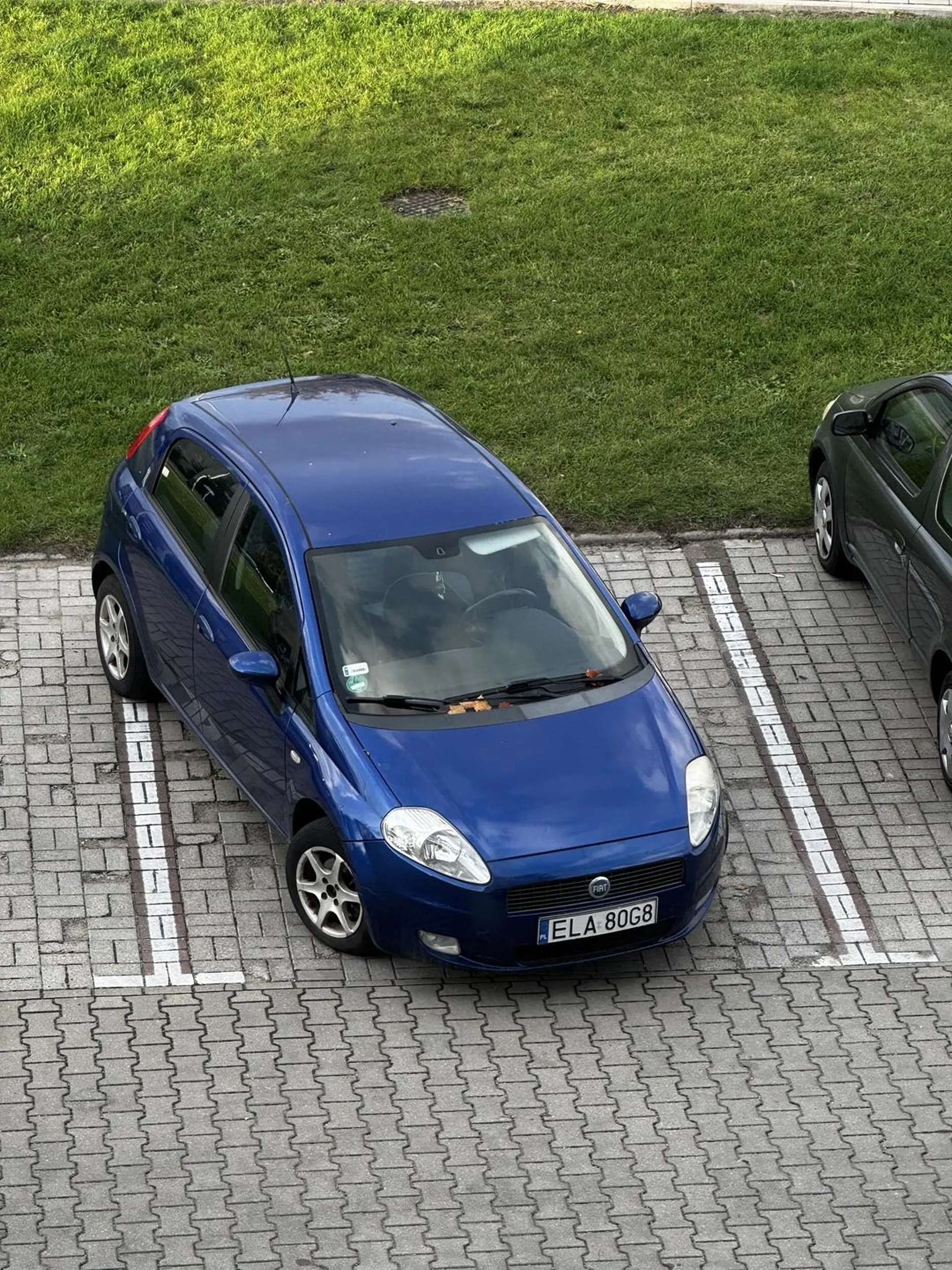 baran nie umie parkować