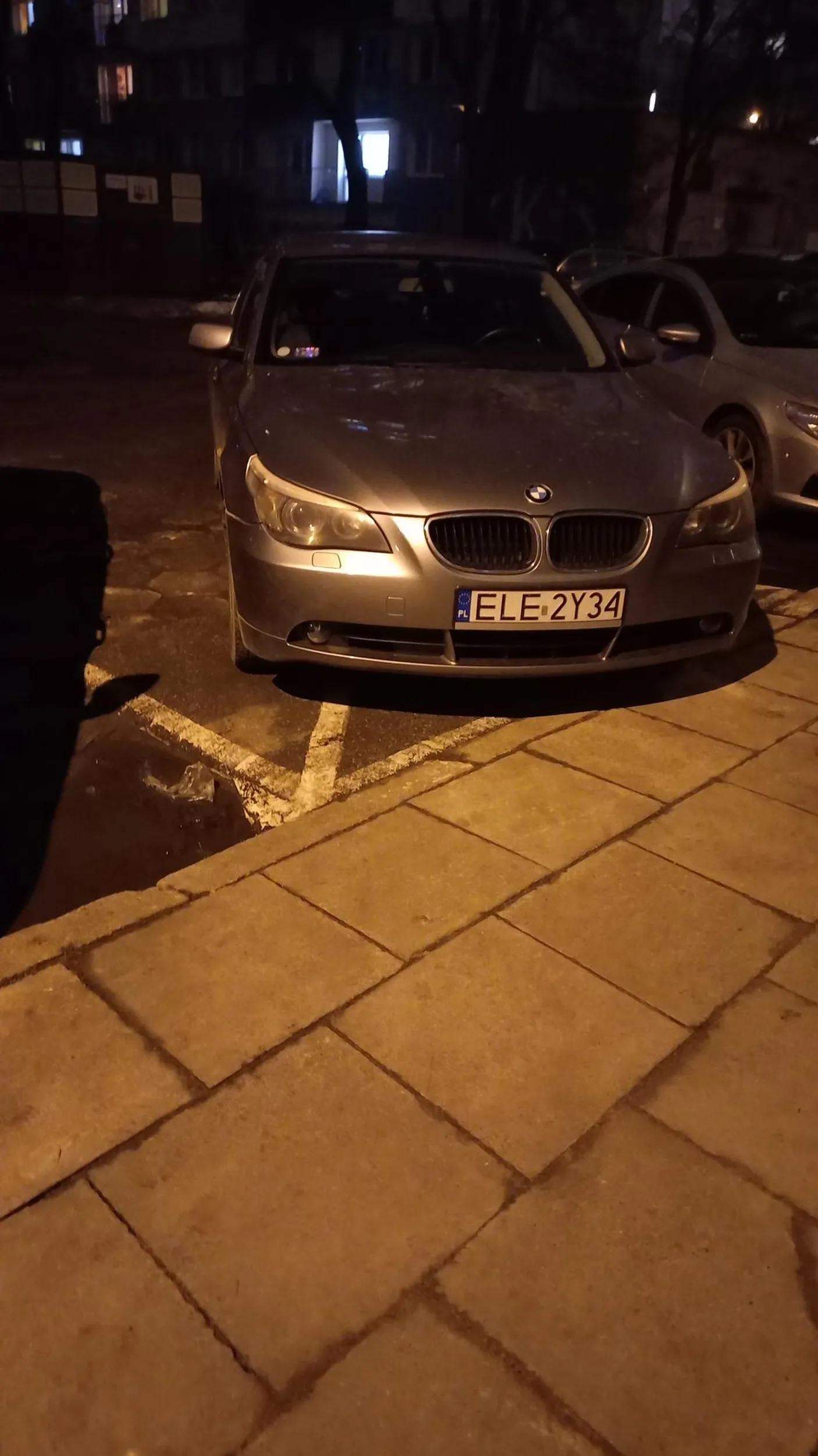 Kolejna święta krowa.