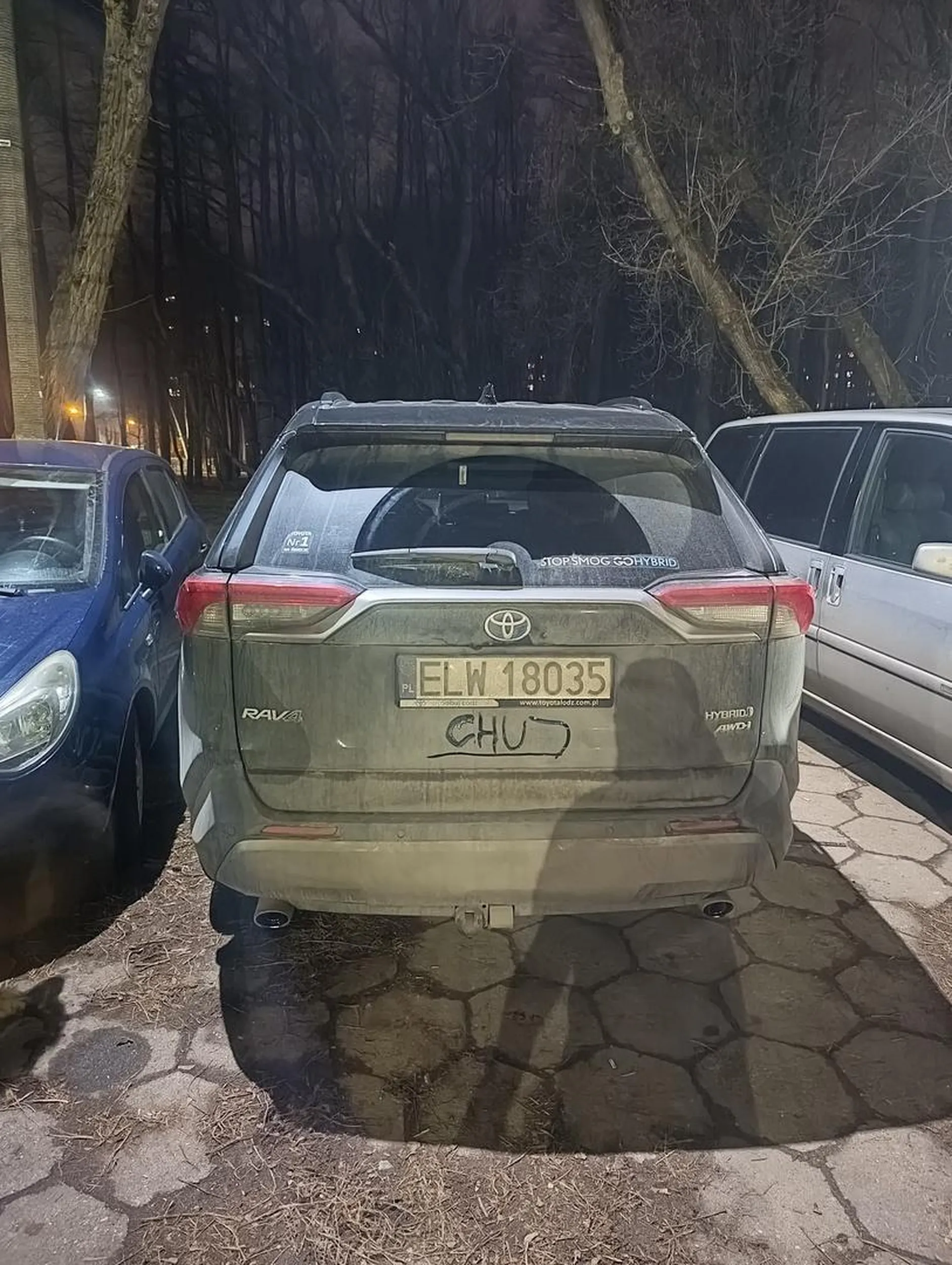 Parkuje tak że auta parkujące prawidłowo , nie blokujące chodnika mogą zostać uszkodzone przez pieszych którzy przeciskają się żeby przejść ???