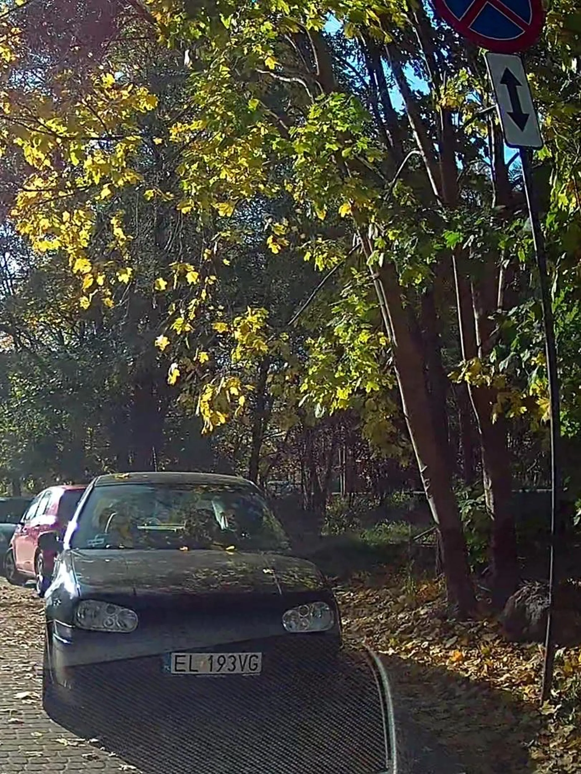 Bardzo uprzejmy, szkoda że nie zna znaków i blokuje wjazd do CKD