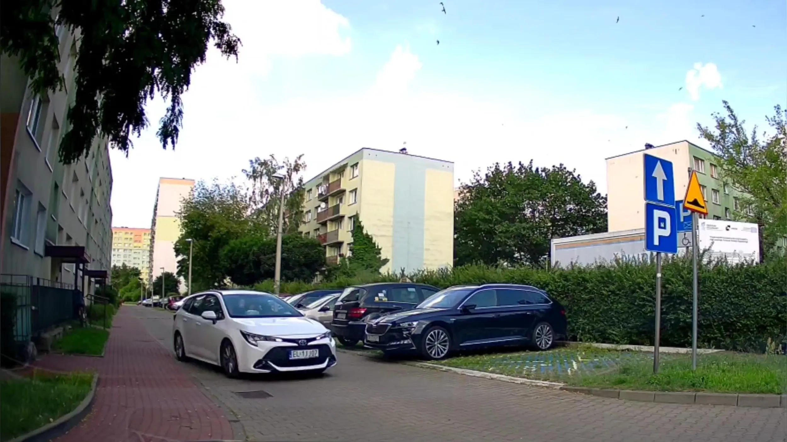 jazda pod prąd i po chodniku