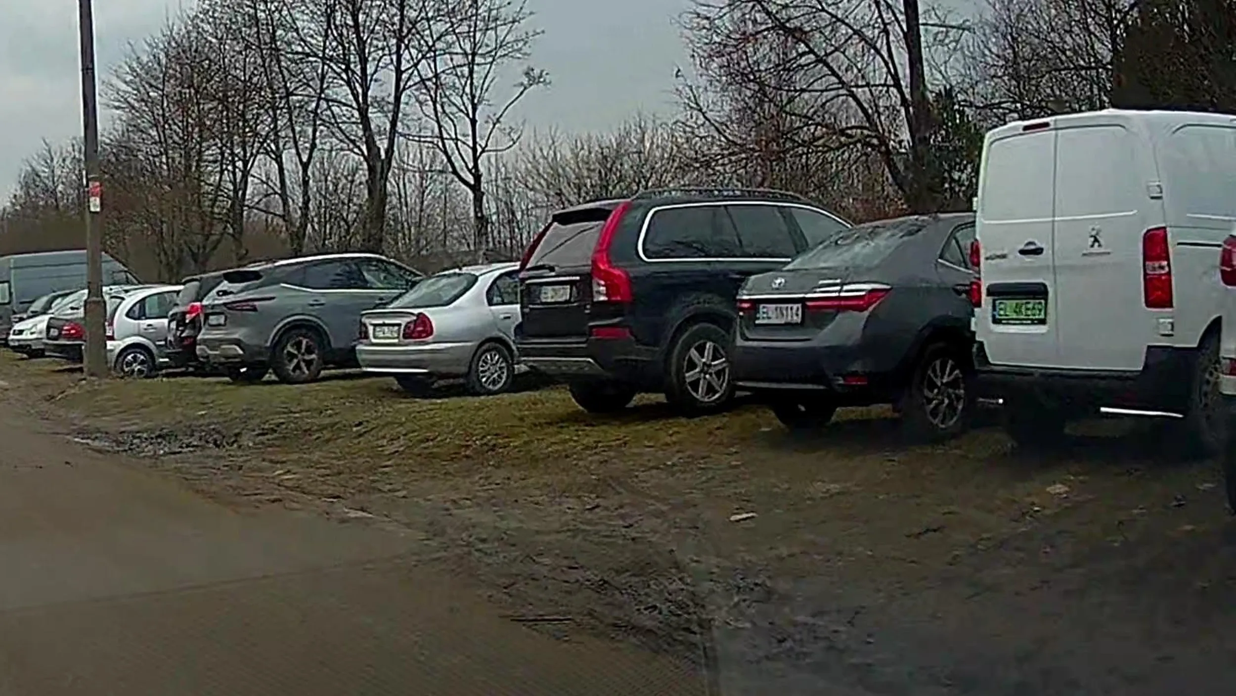 Rozjeżdża trawniki we własnym mieście