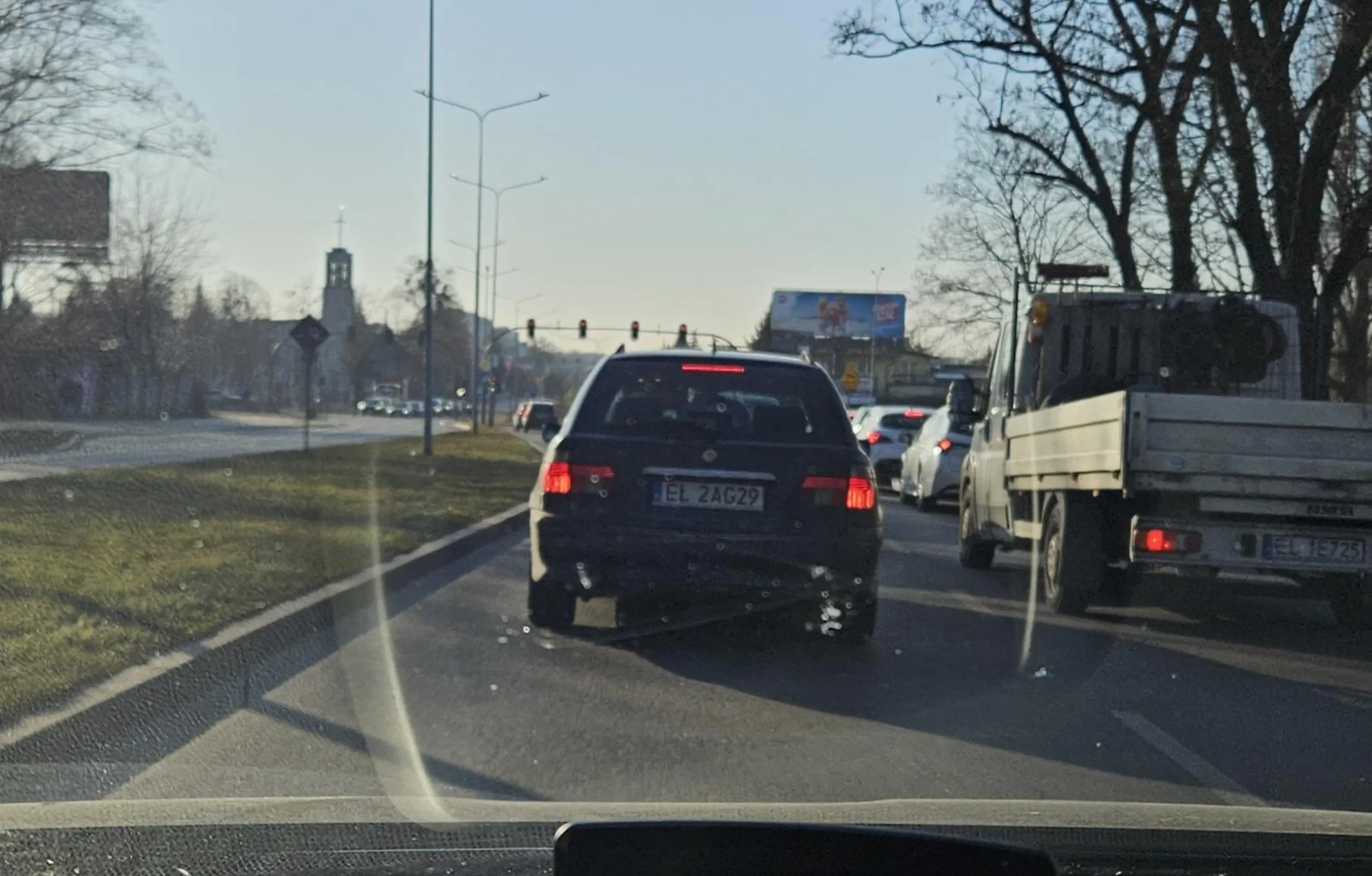 Śmierdziel w starej buni