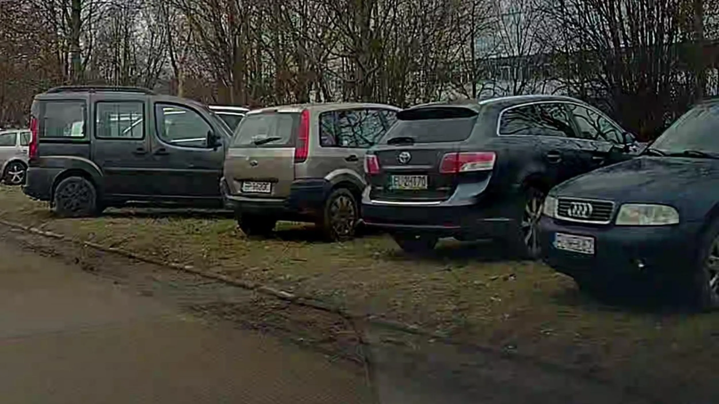 Rozjeżdża trawniki we własnym mieście