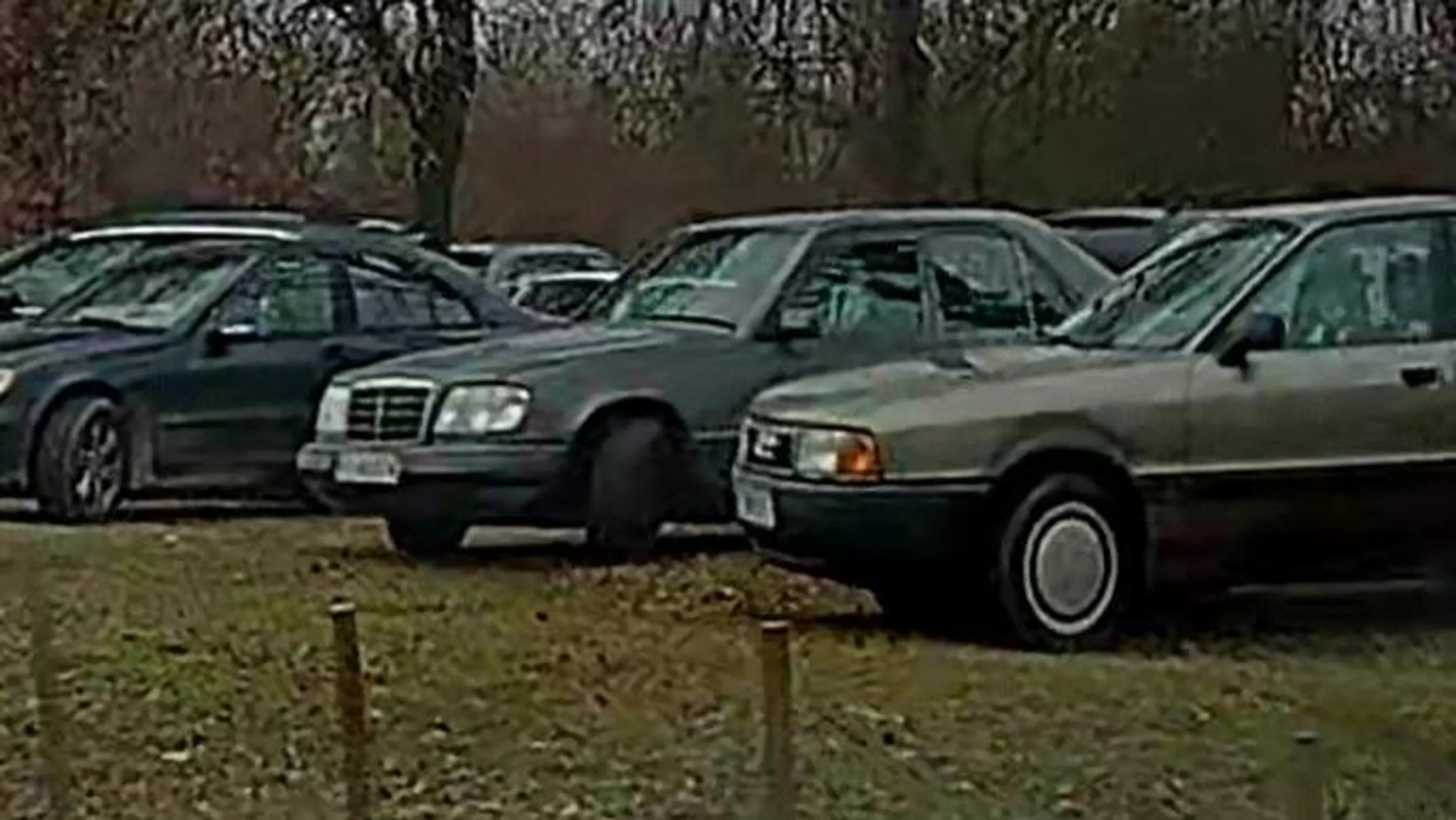 Rozjeżdża trawniki we własnym mieście