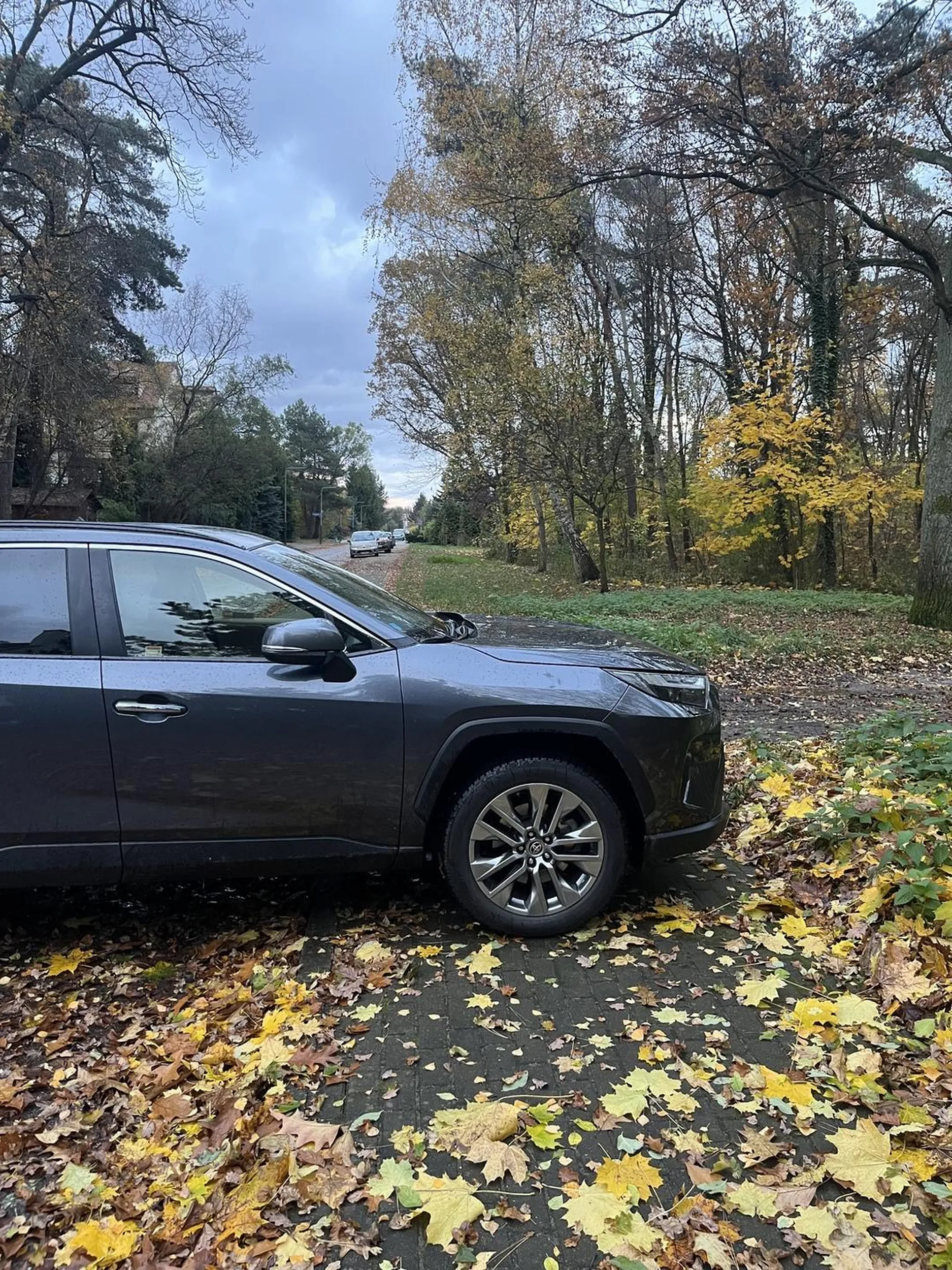 Po co pieszym chodnik?