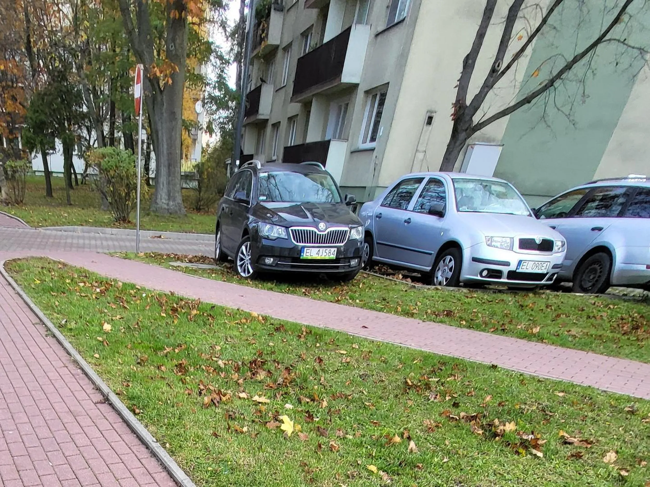 Strefa zamieszkania - to nie jest miejsce wyznaczone do zatrzymania pojazdu - to trawnik.