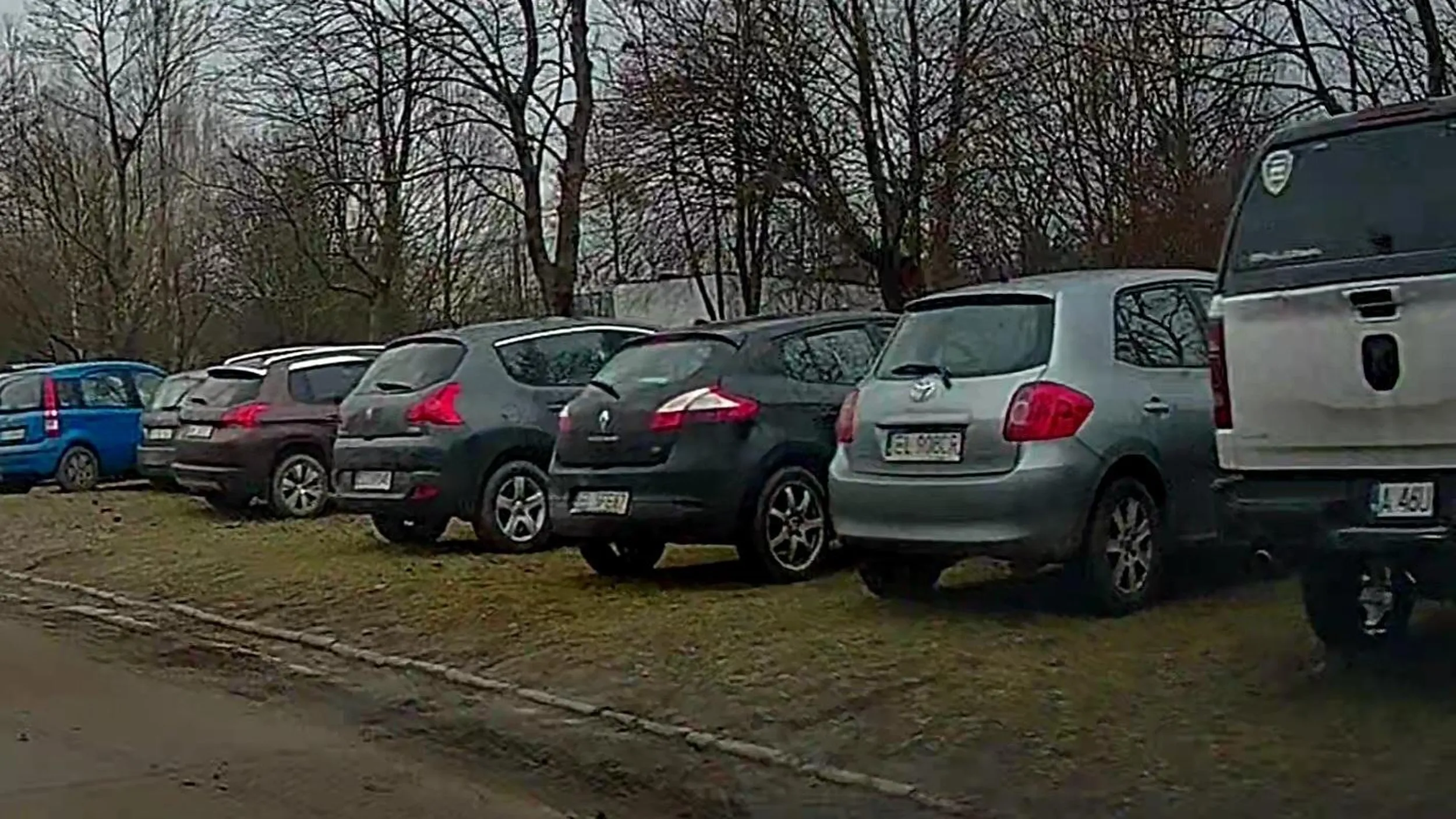 Rozjeżdża trawniki we własnym mieście