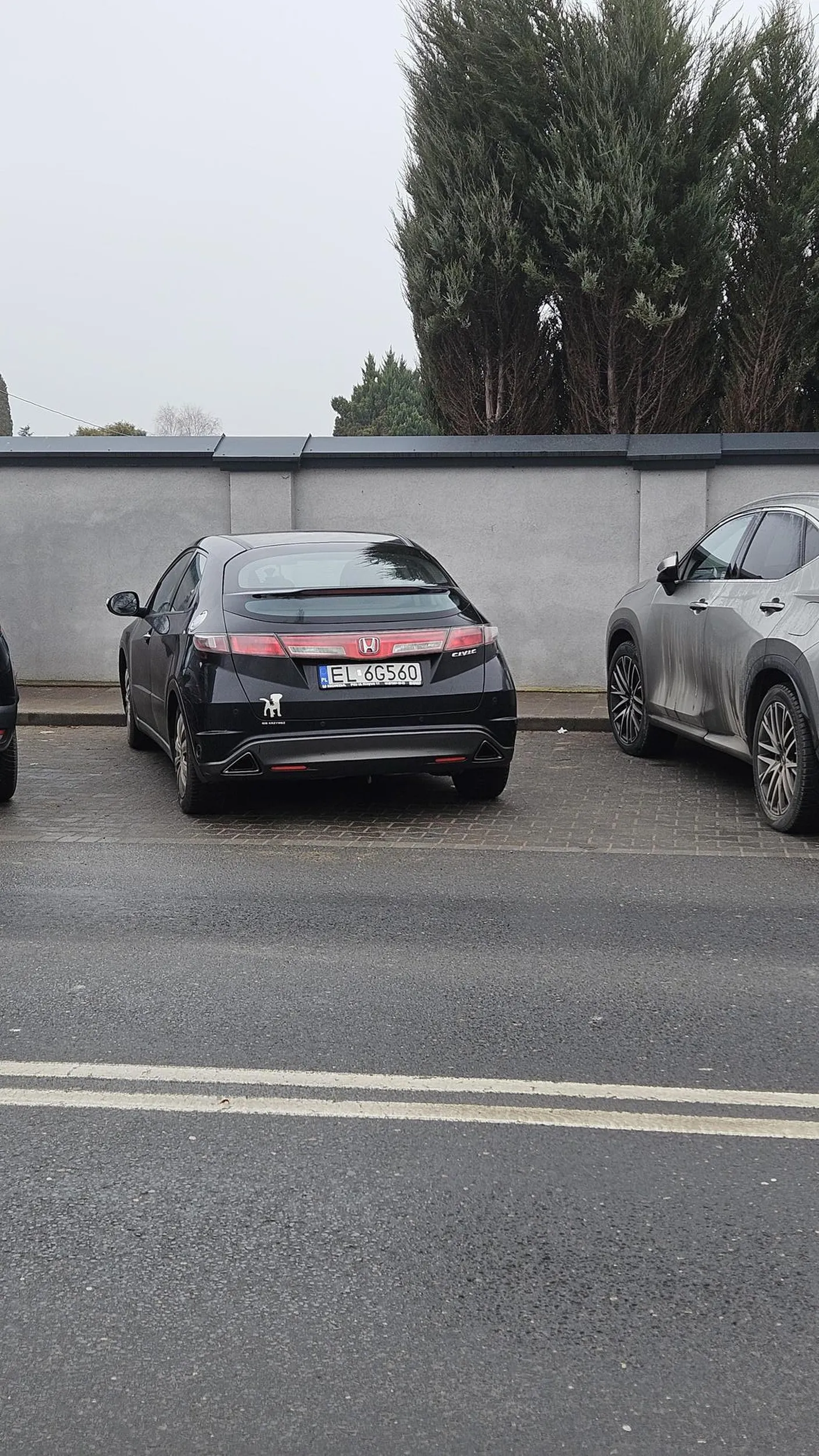 Obudź się Kobieto, bo rozjedziesz w końcu ludzi na pasach. Prawo jazdy w chipsach wygrałaś. Przed momentem przejechałaś przede mną na pasach i mało mnie nie rozjechałaś, wolniej, są Święta, nie warto sie tak na cmentarz spieszyć, bo możesz kogoś innego tam wysłać.