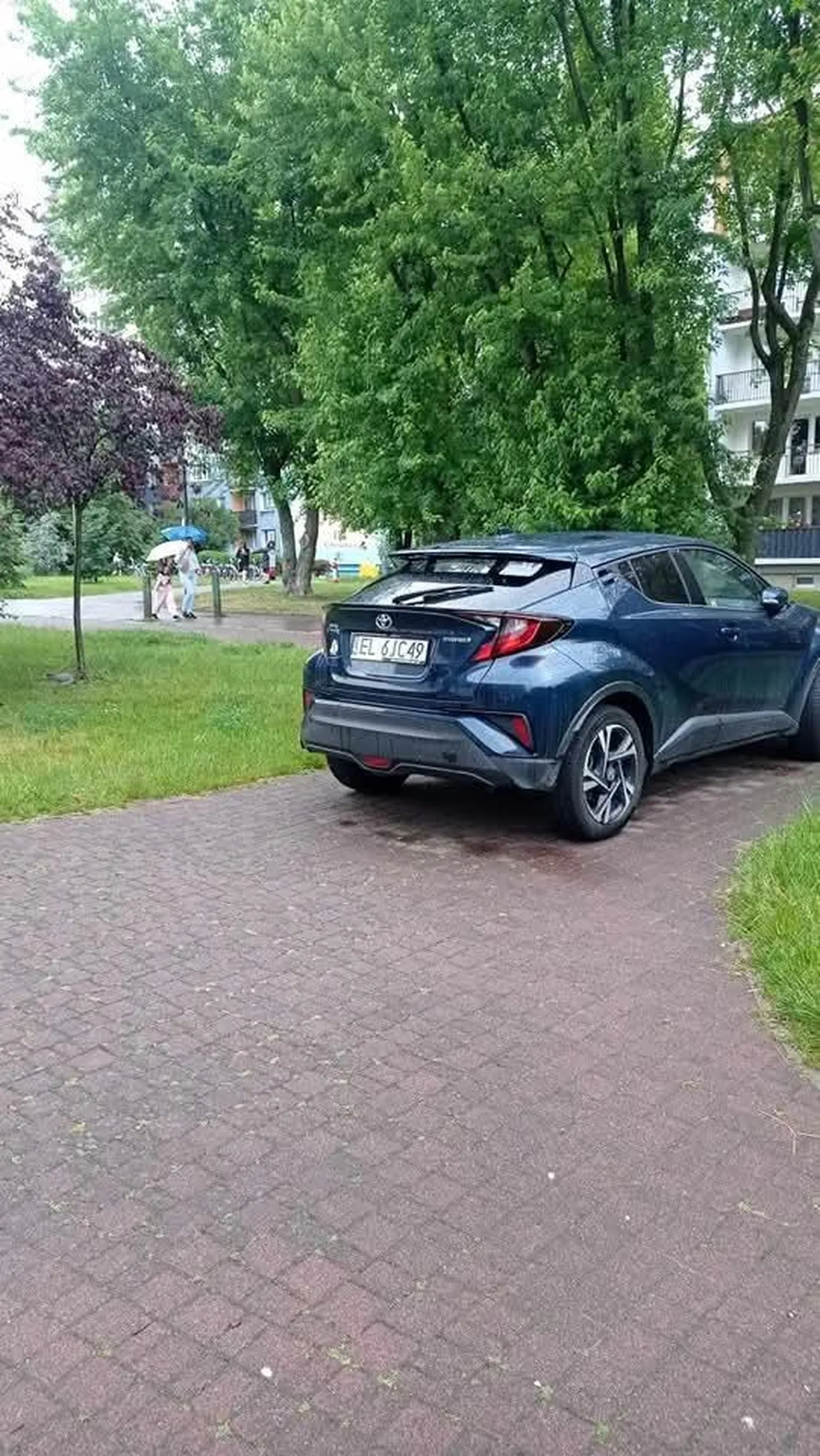 Brawo, czyżby dyrekcja?