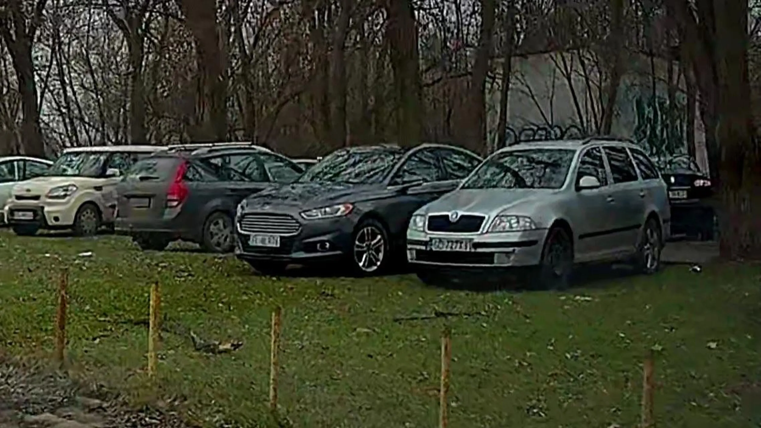 Rozjeżdża trawniki we własnym mieście