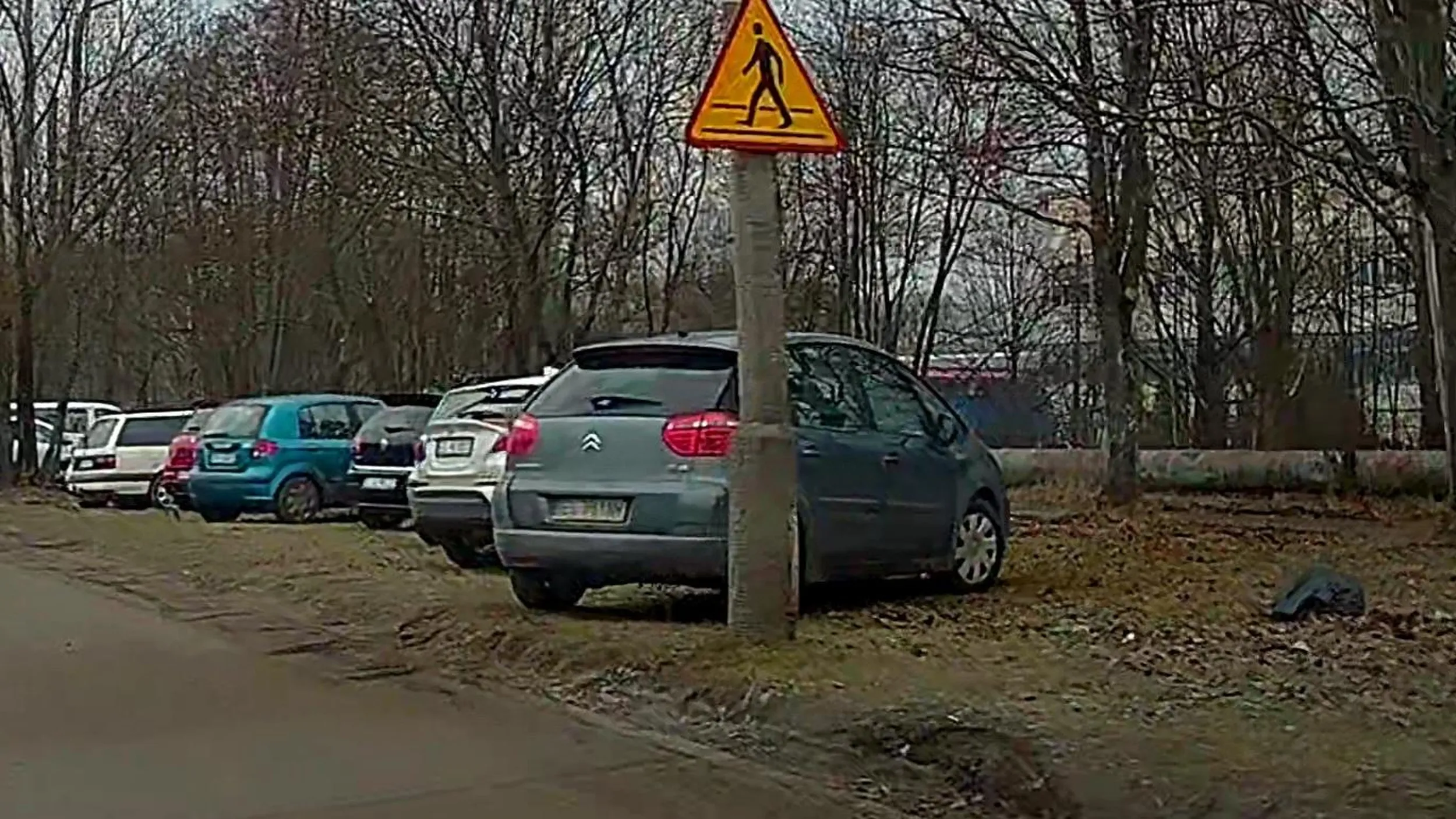 Rozjeżdża trawniki we własnym mieście