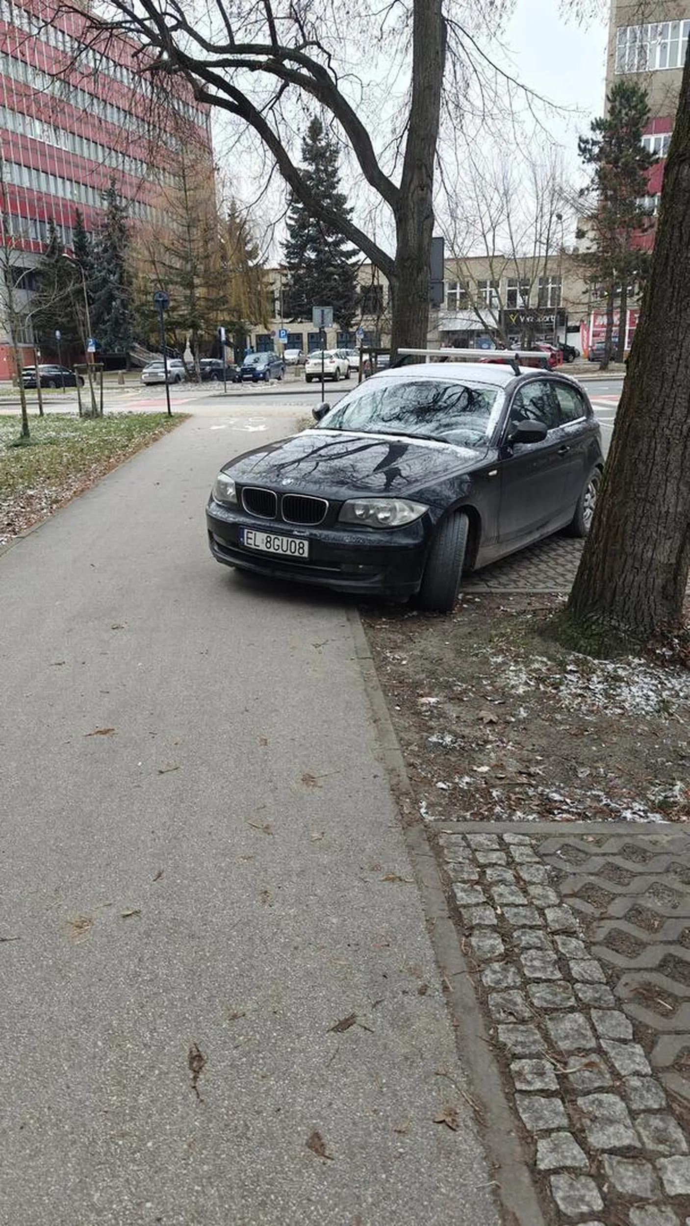 Parkowanie na ciągu pieszo-rowerowym. Wybitne umiejętności kierowania pojazdem.