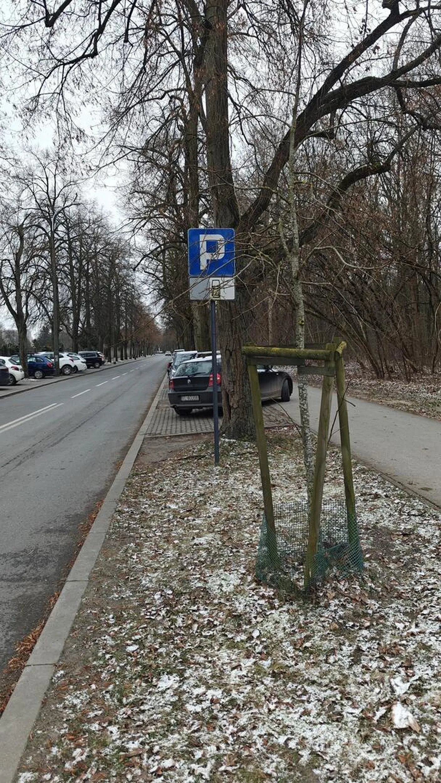 Parkowanie na ciągu pieszo-rowerowym. Wybitne umiejętności kierowania pojazdem.