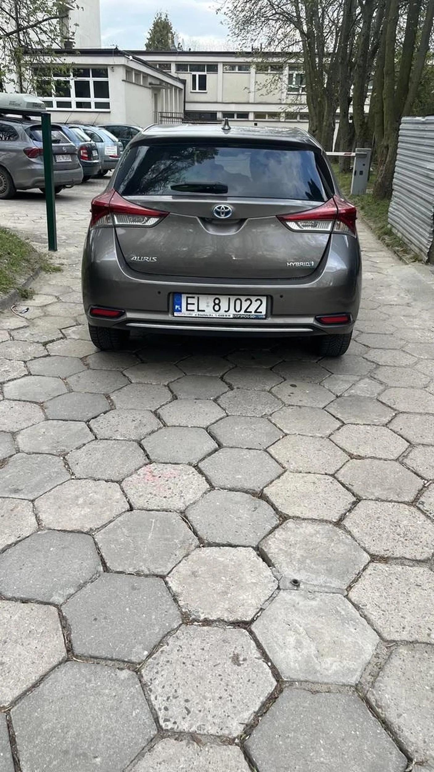 księżniczka parkuje na zakazie