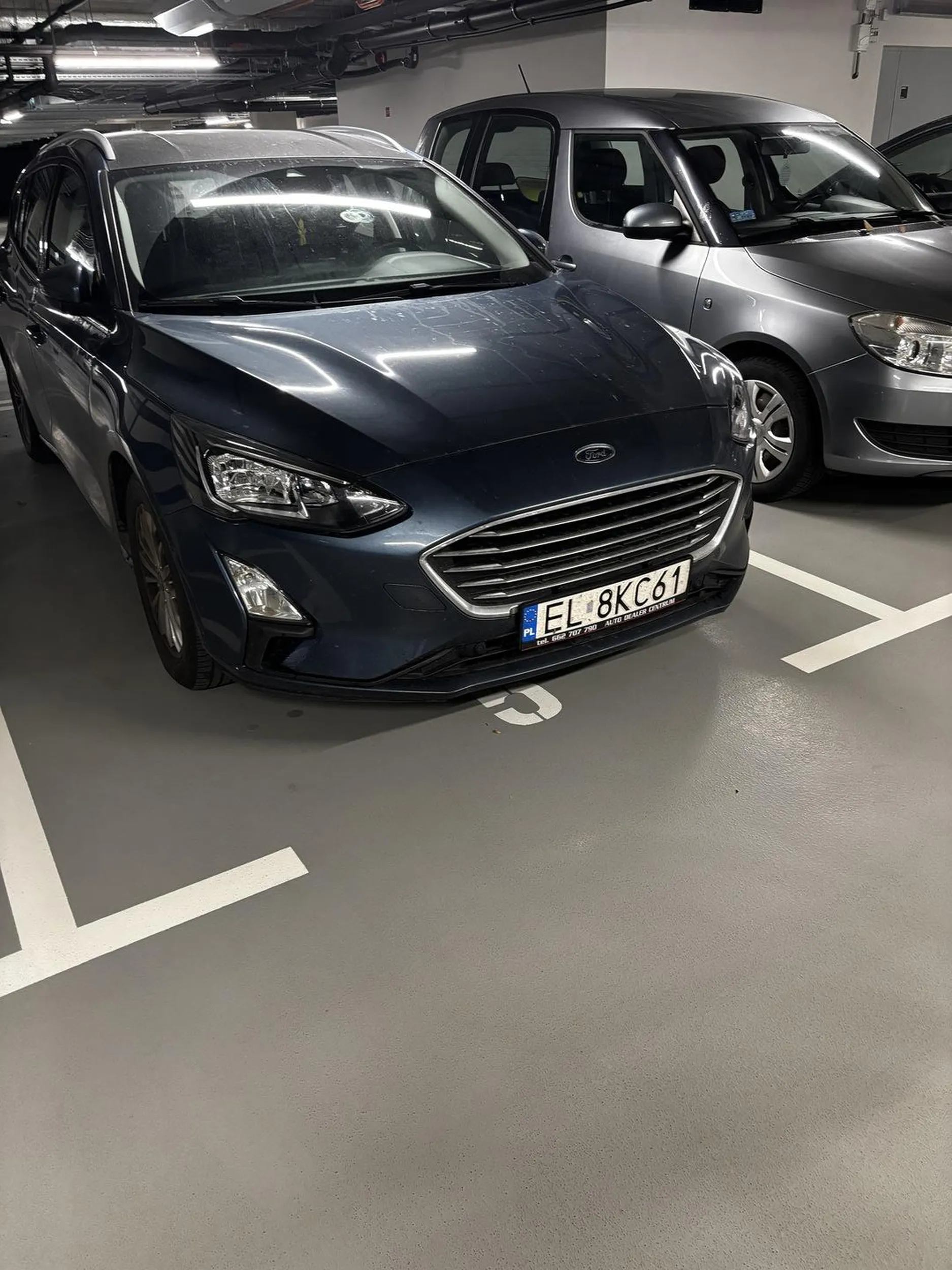 Stoi dzikus na nieswoim miejscu parkingowym