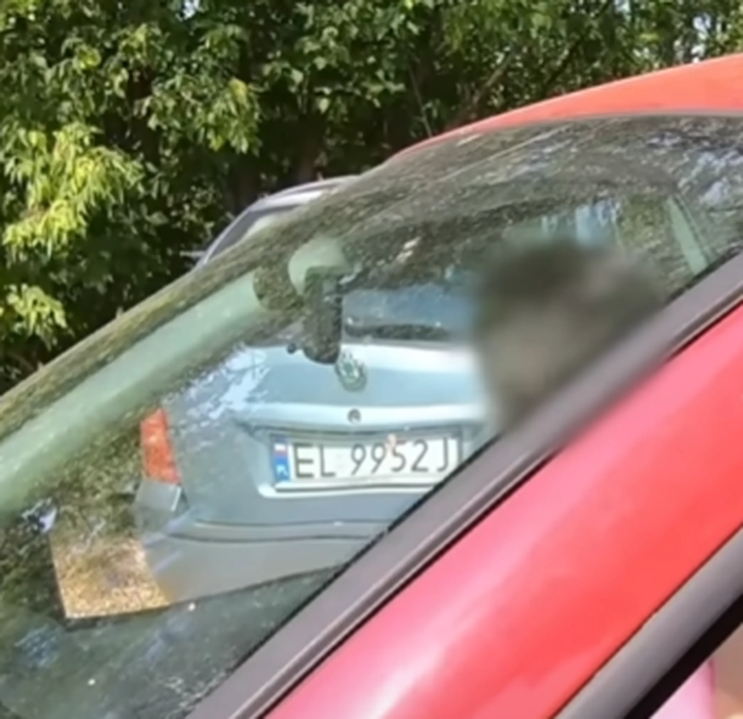 Ładnie tak na trawniku parkować? sorry jeszcze jazda po chodniku